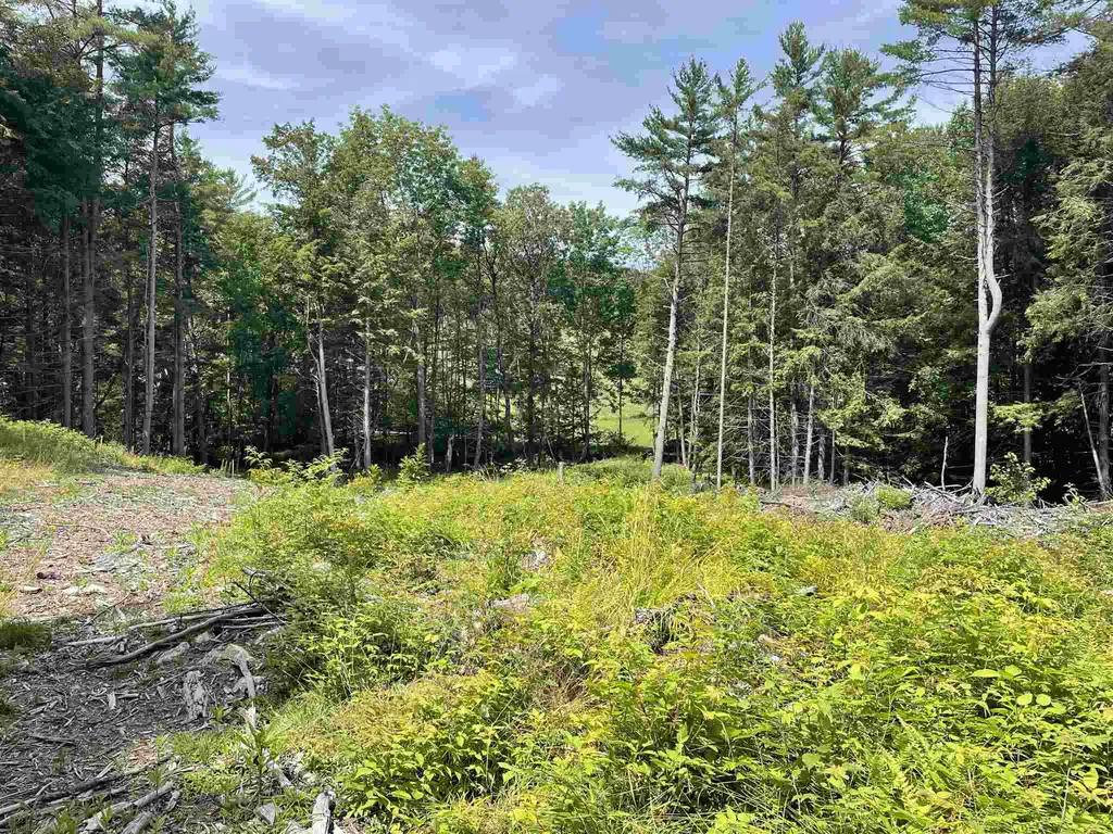 00 Union Village Road Norwich VT 05055