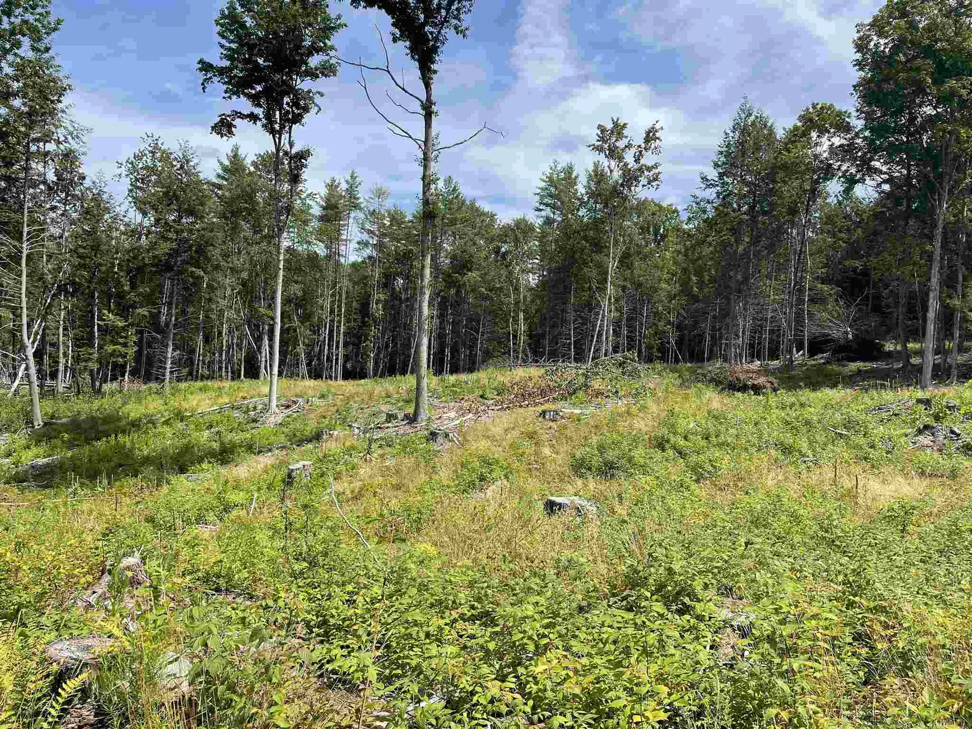00 Union Village Road Norwich VT 05055
