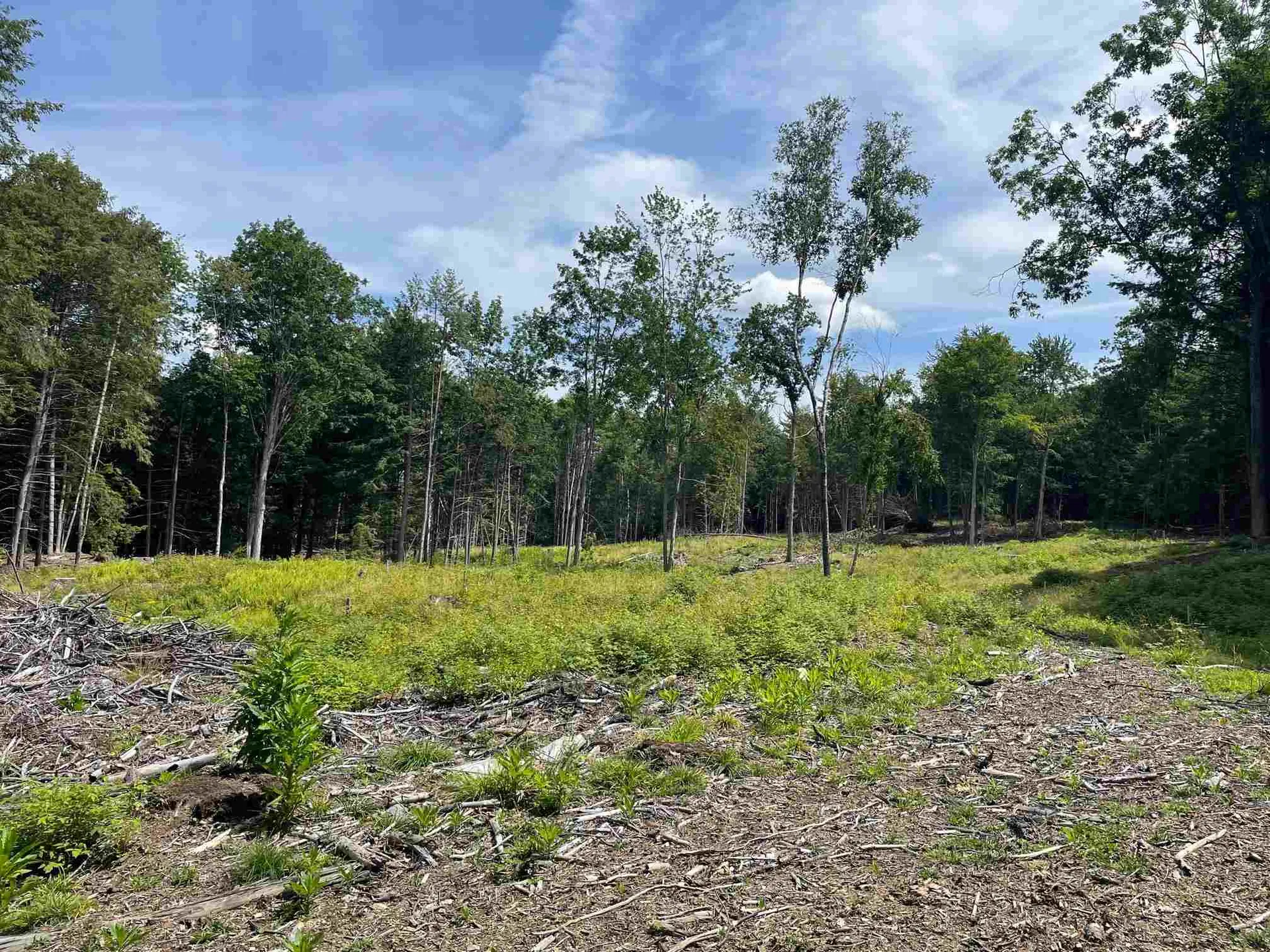 00 Union Village Road Norwich VT 05055