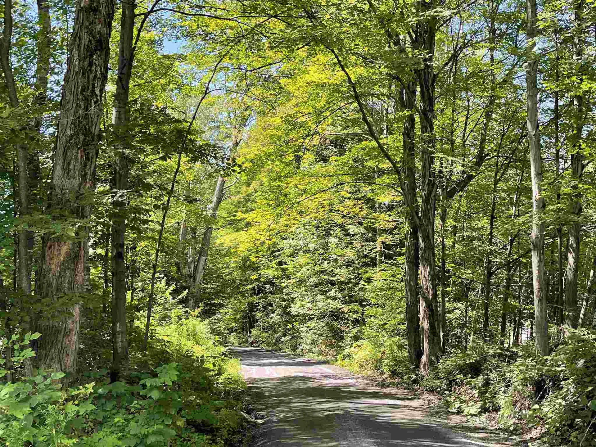 39 Devino Road Milton VT 05468