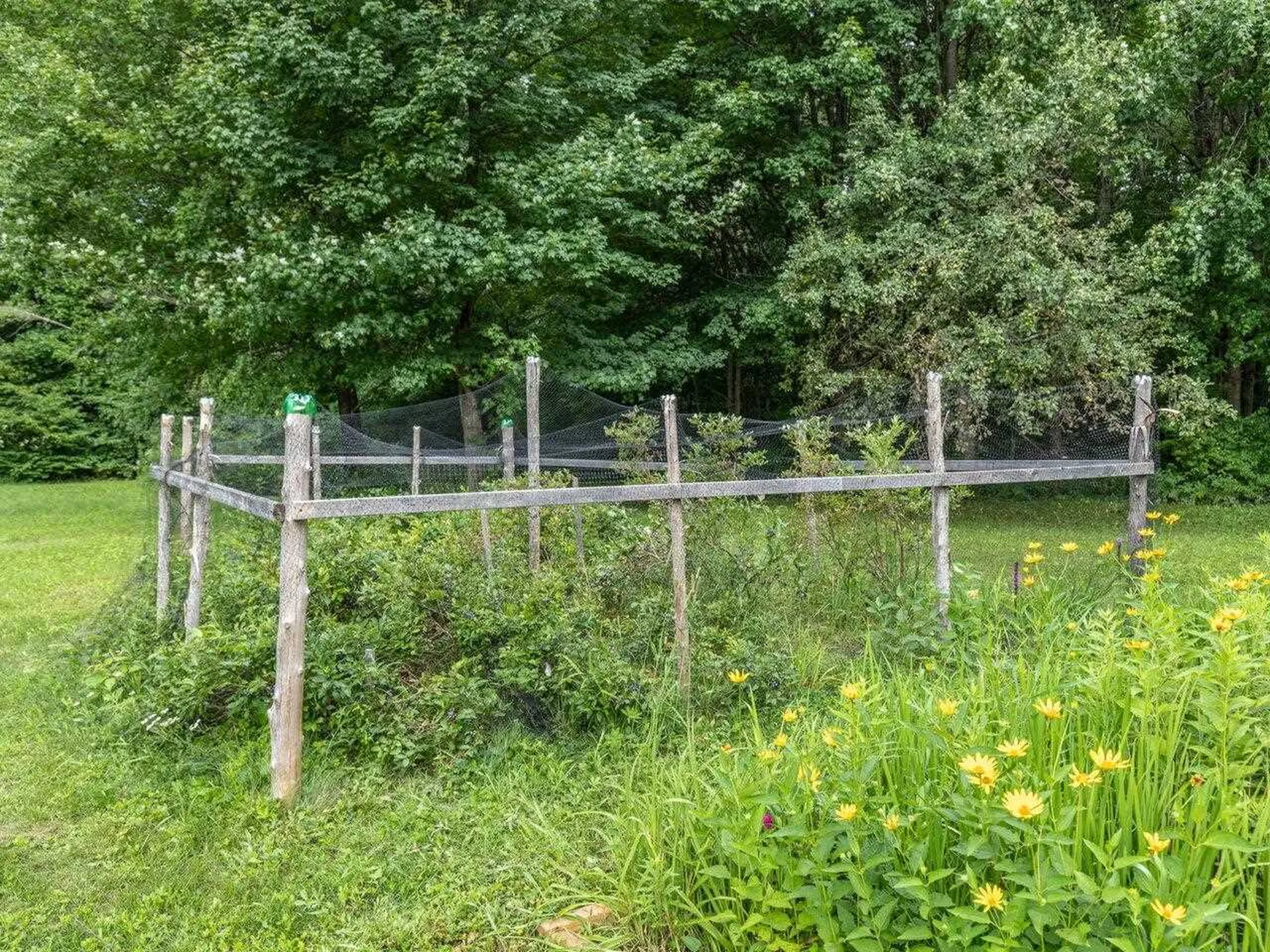 3849 North 116 Road Bristol VT 05443