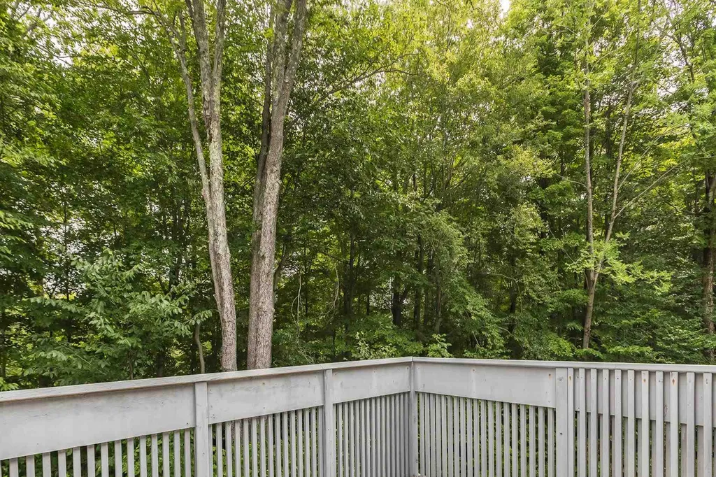 43 Styles Branch Road Stratton VT 05155