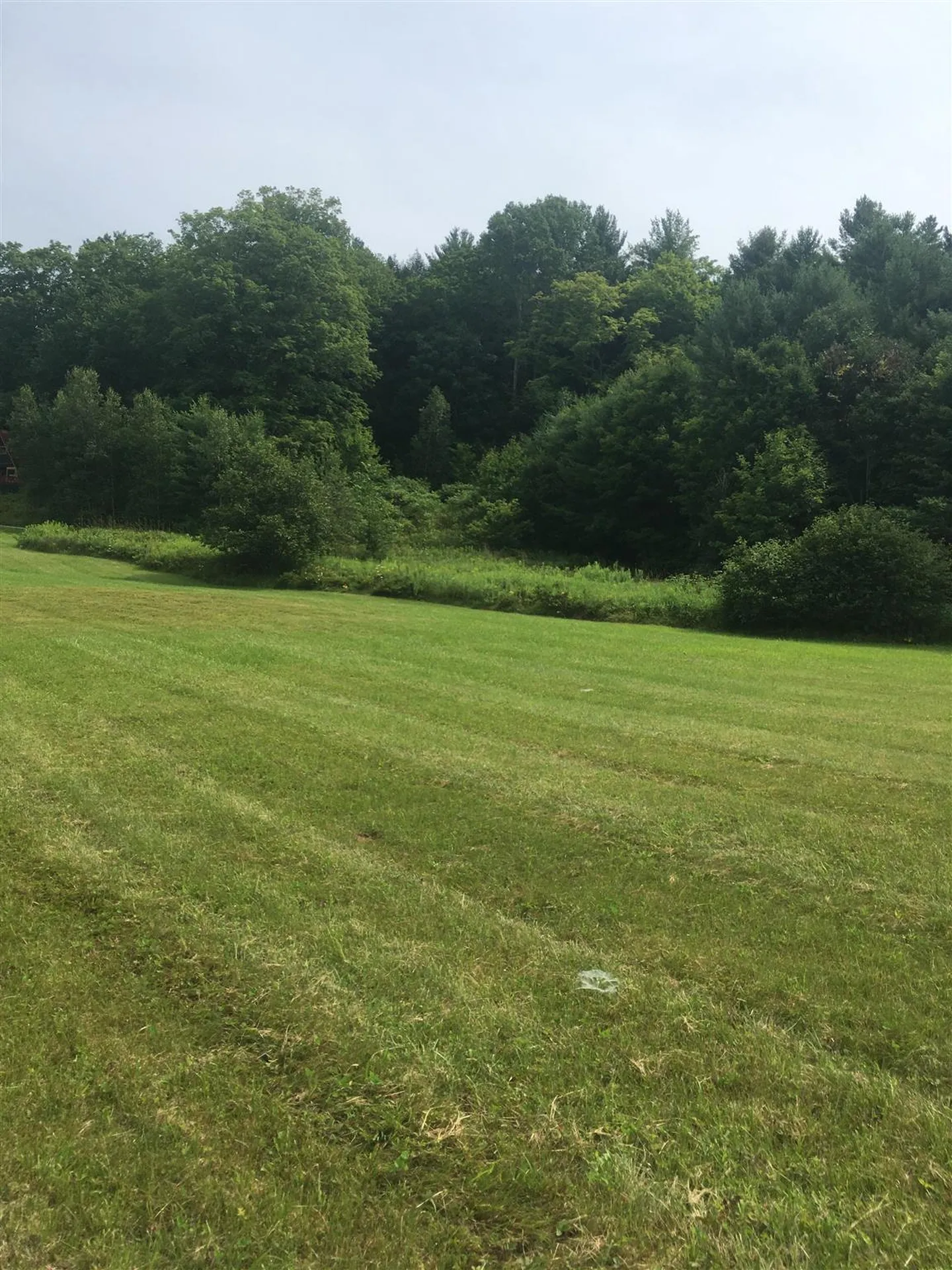 3078 Scotch Hollow Road Newbury VT 05051