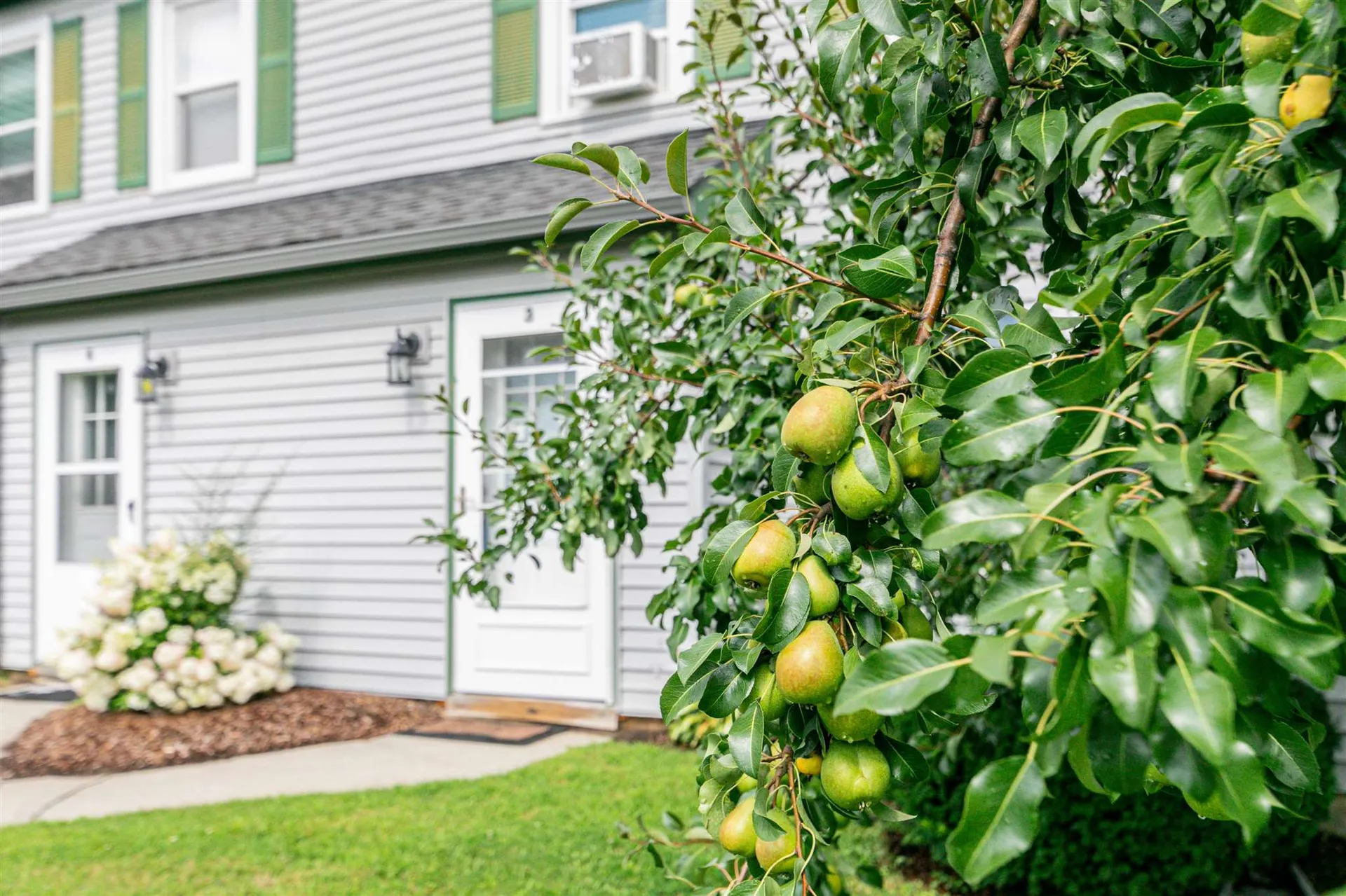 35 Brickyard Road Essex VT 05452
