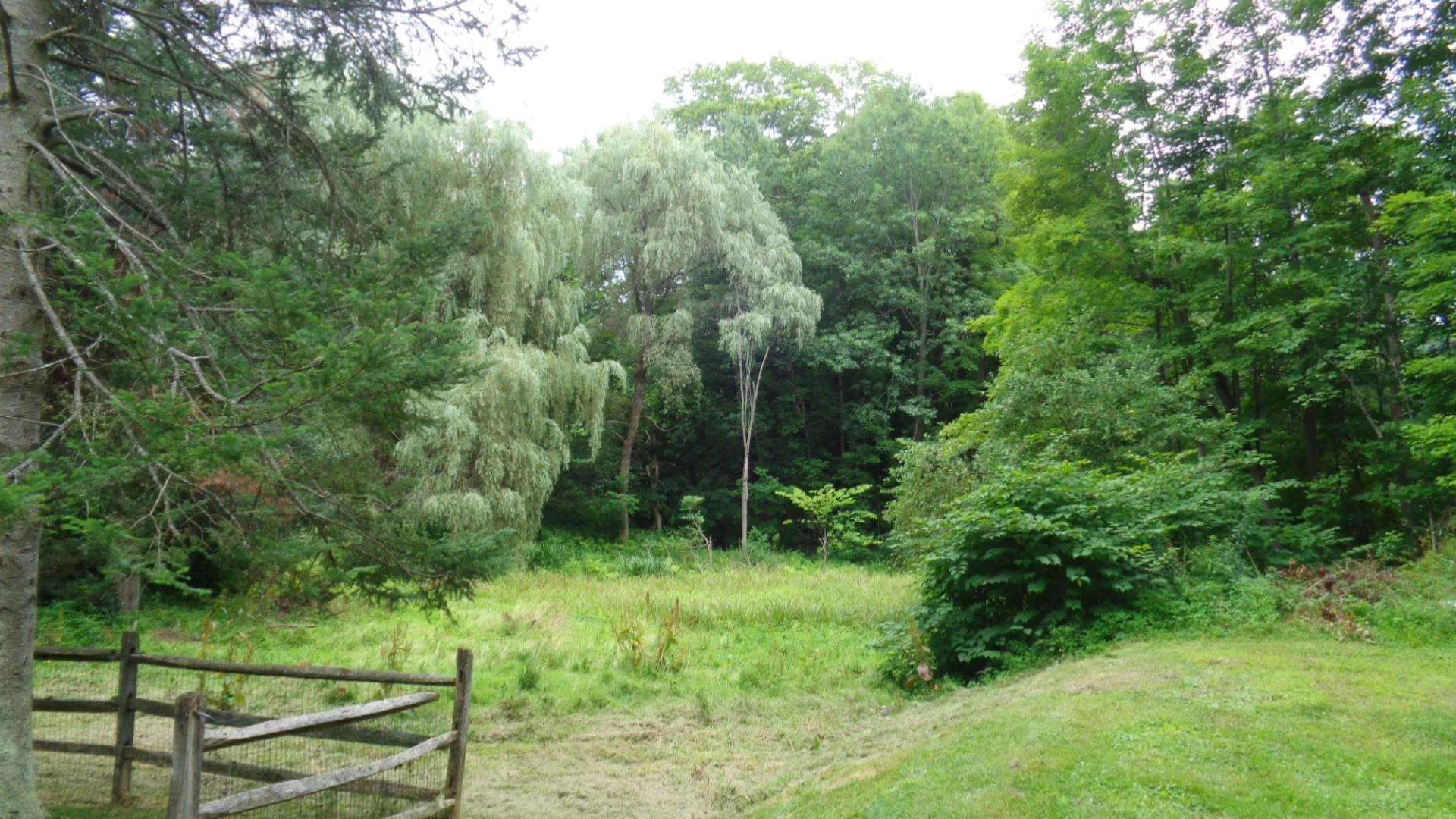 84 Prospect Street Northfield VT 05663