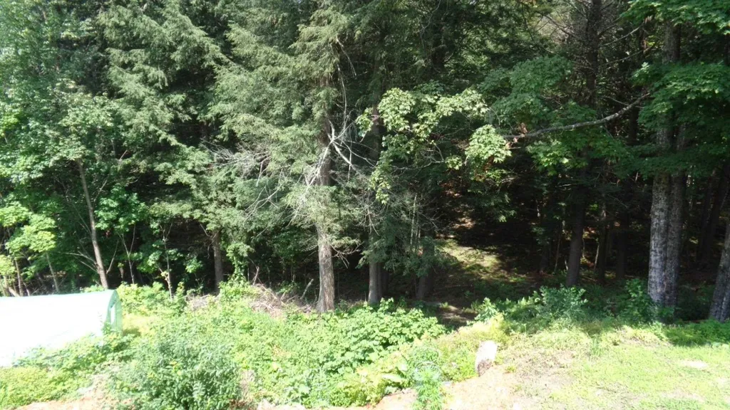 581 Harlow Hill Road Randolph VT 05060
