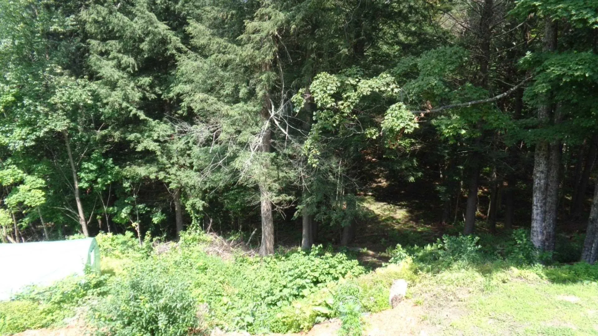 581 Harlow Hill Road Randolph VT 05060