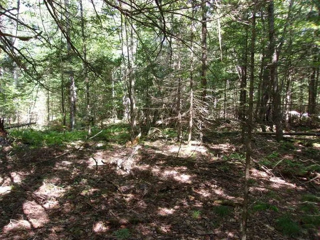Valley Road Haverhill NH 03785