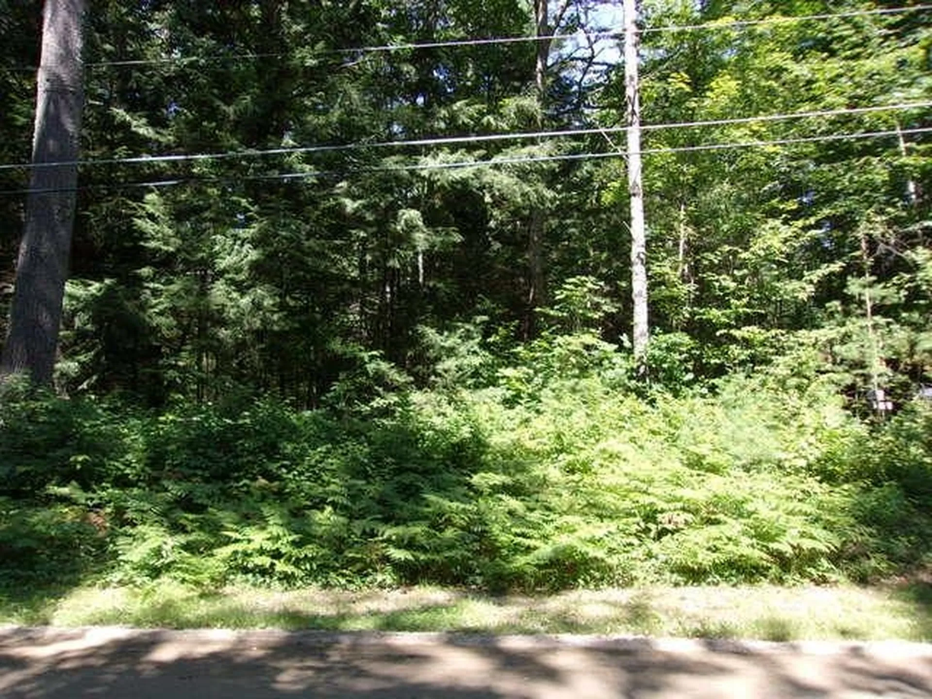 Valley Road Haverhill NH 03785