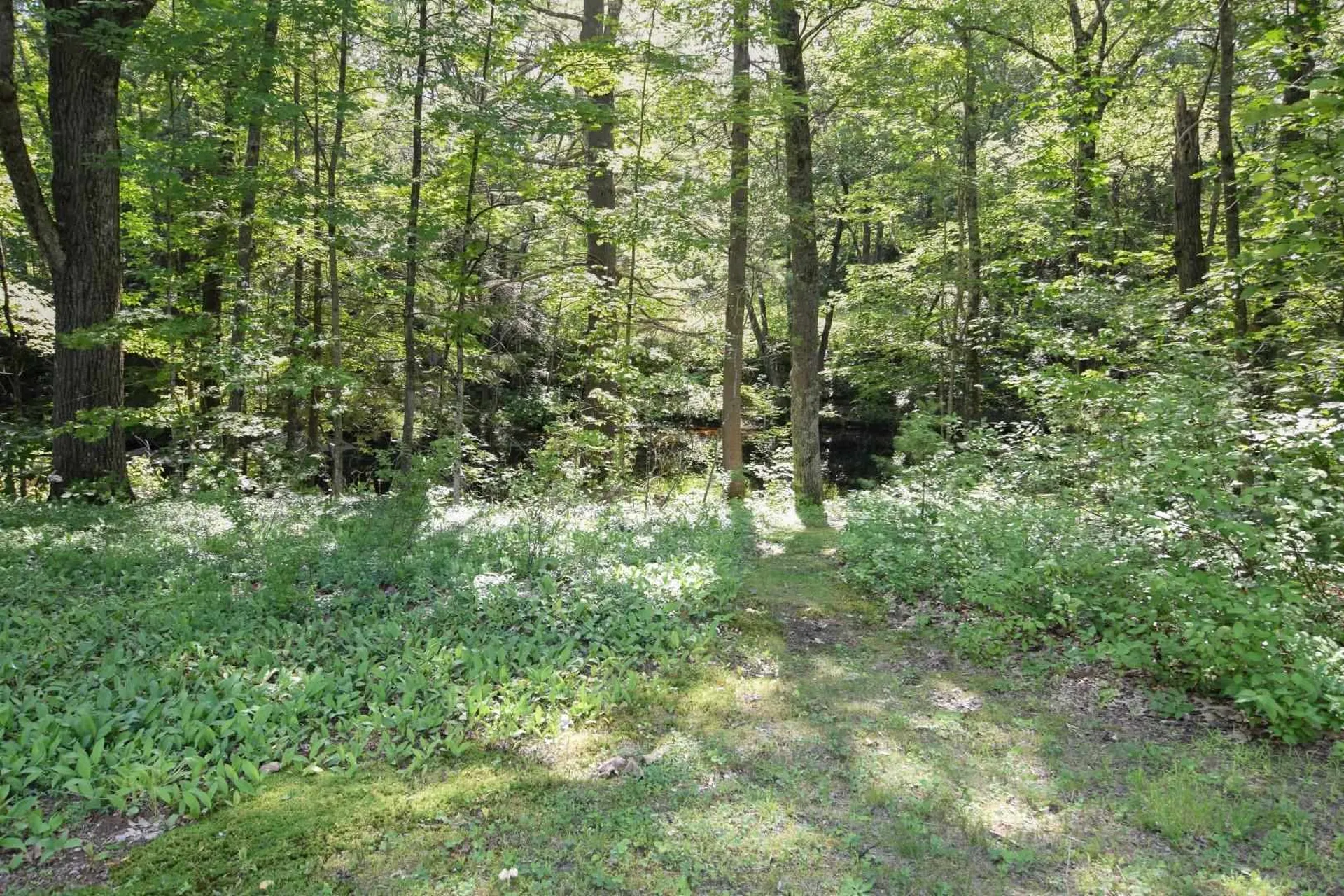 18 Gale Road Andover NH 03216