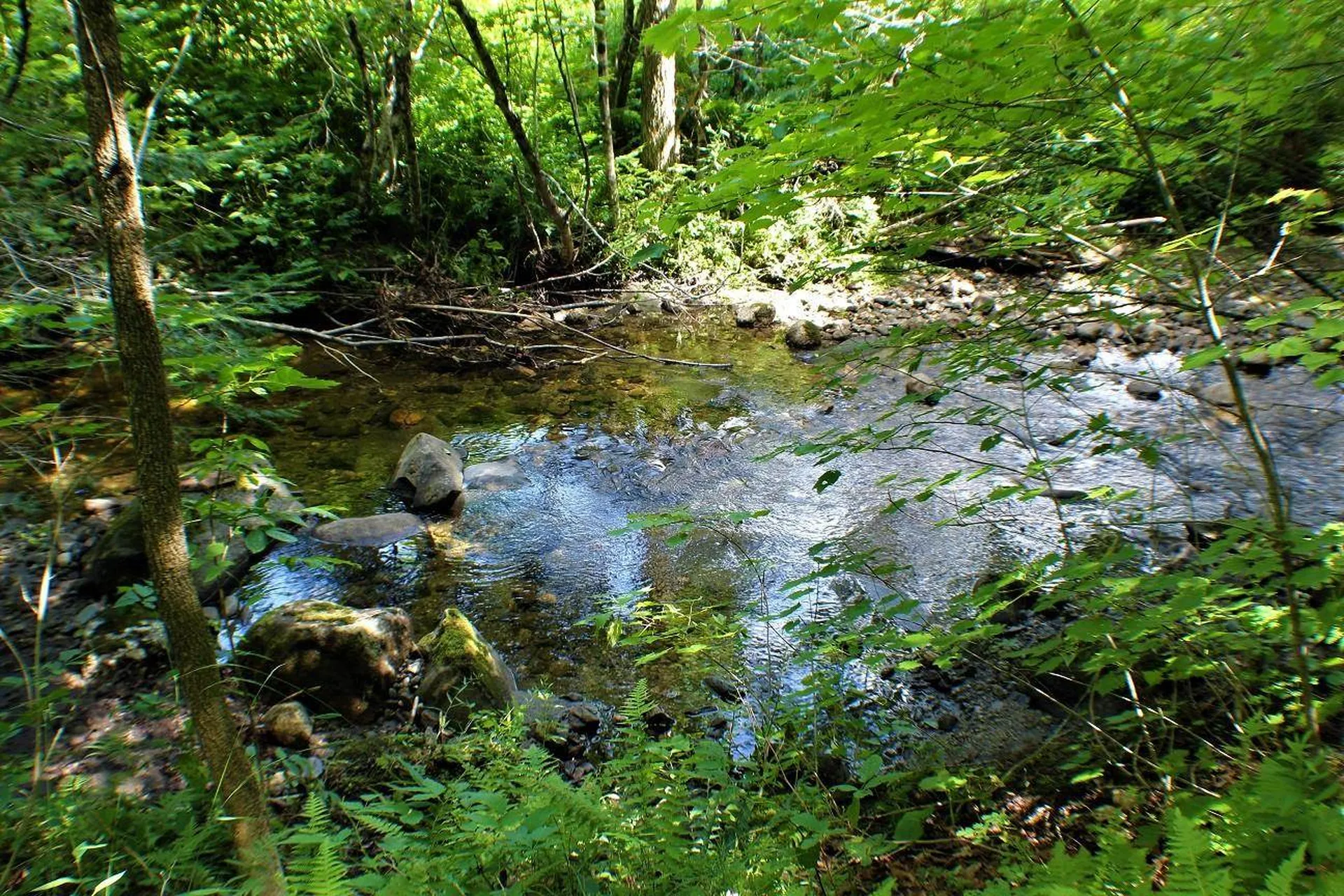 103 Jug Brook Road Cabot VT 05647
