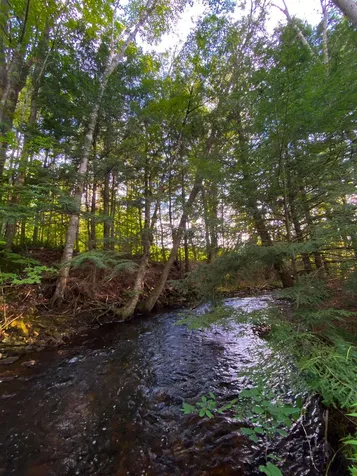 125 Lake Tarleton Road Warren NH 03279