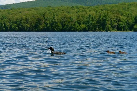 125 Lake Tarleton Road Warren NH 03279