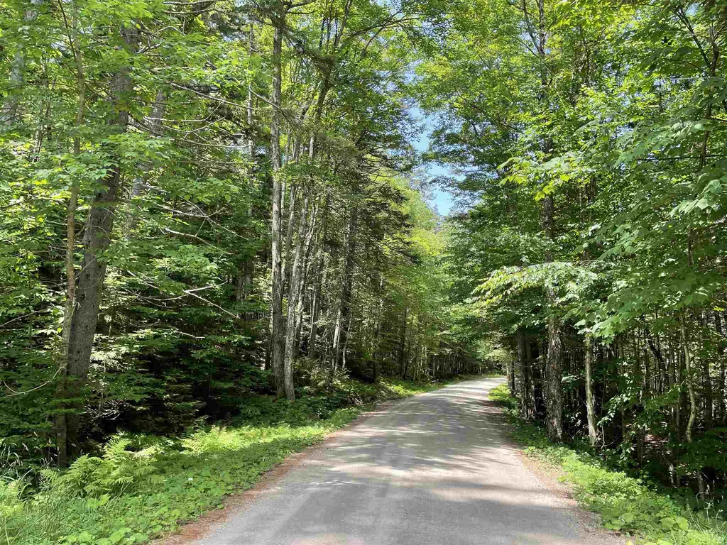 420 Greendale Road Weston VT 05161