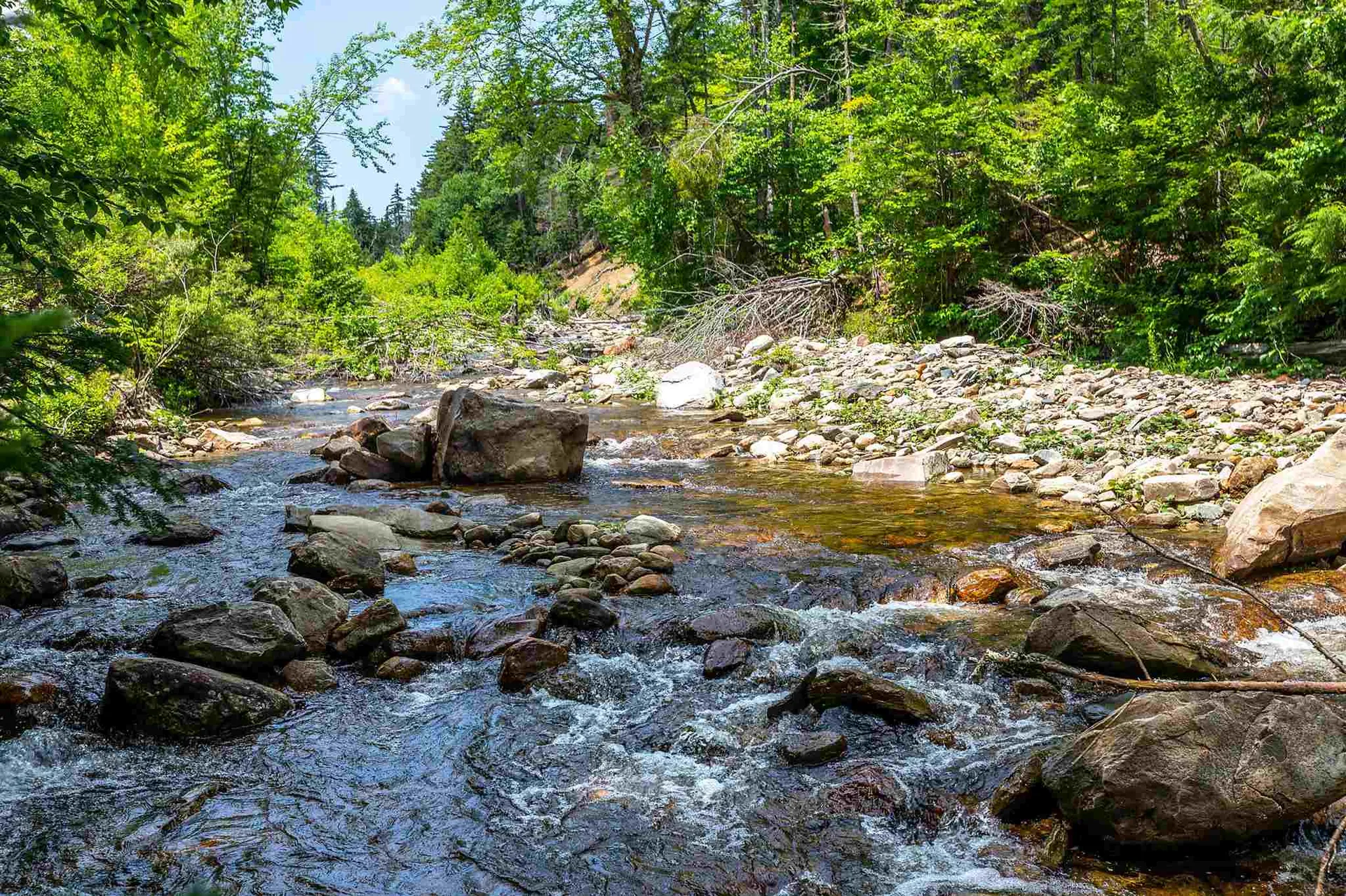 420 Greendale Road Weston VT 05161
