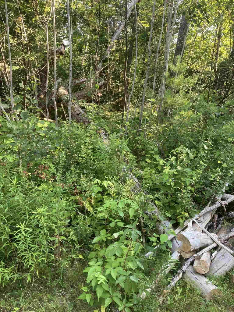 00 Sanderlin Drive Newbury VT 05051