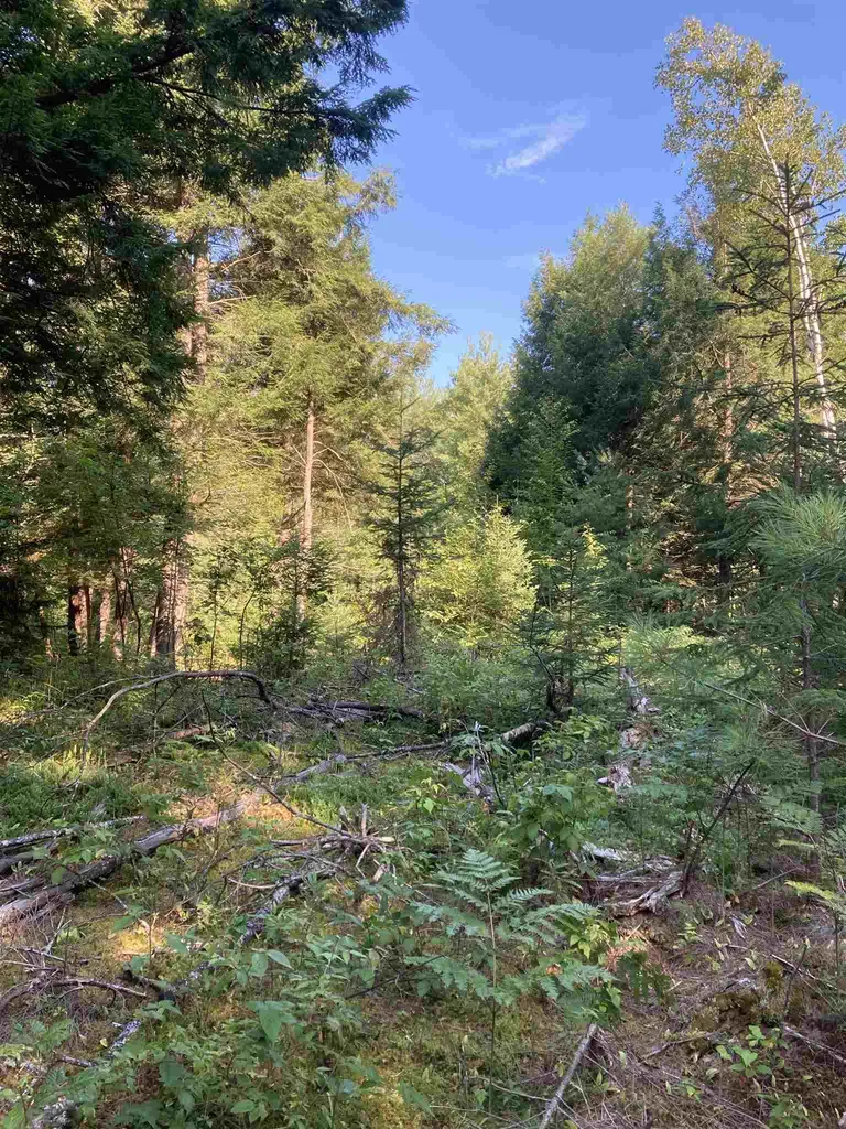 00 Sanderlin Drive Newbury VT 05051