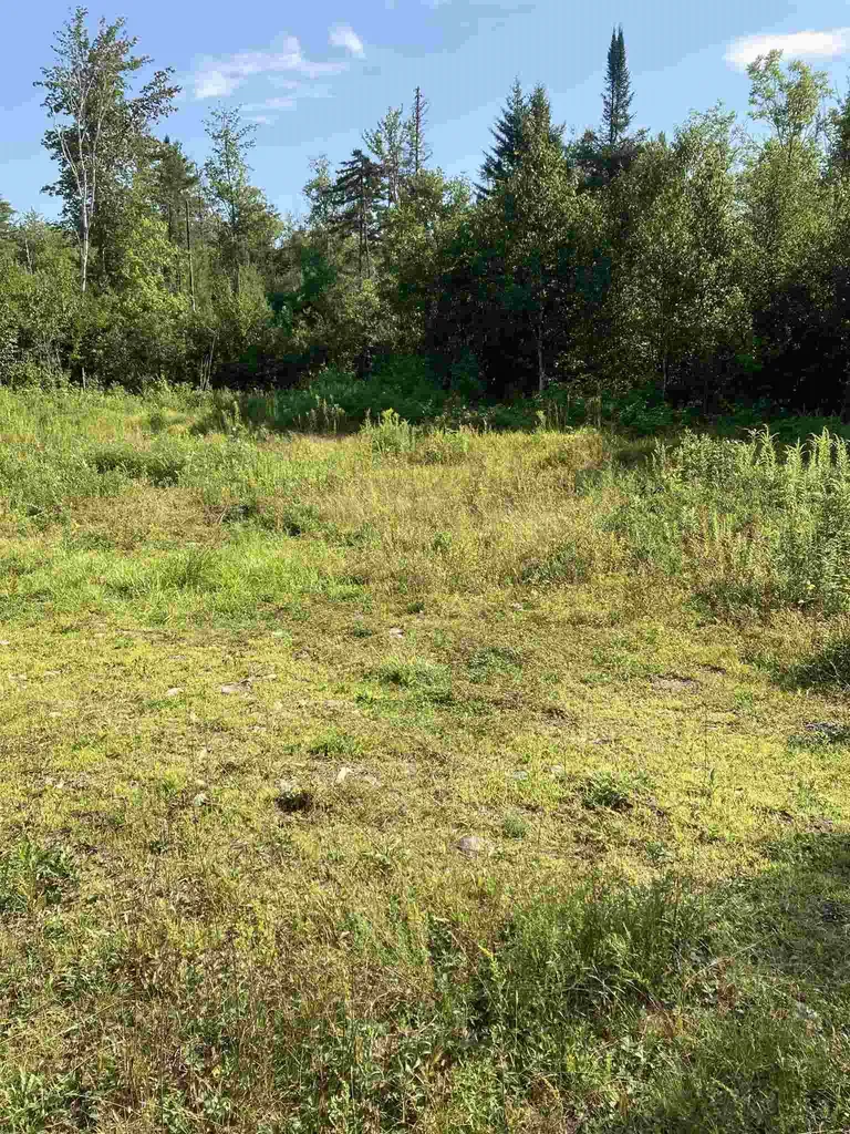 00 Sanderlin Drive Newbury VT 05051
