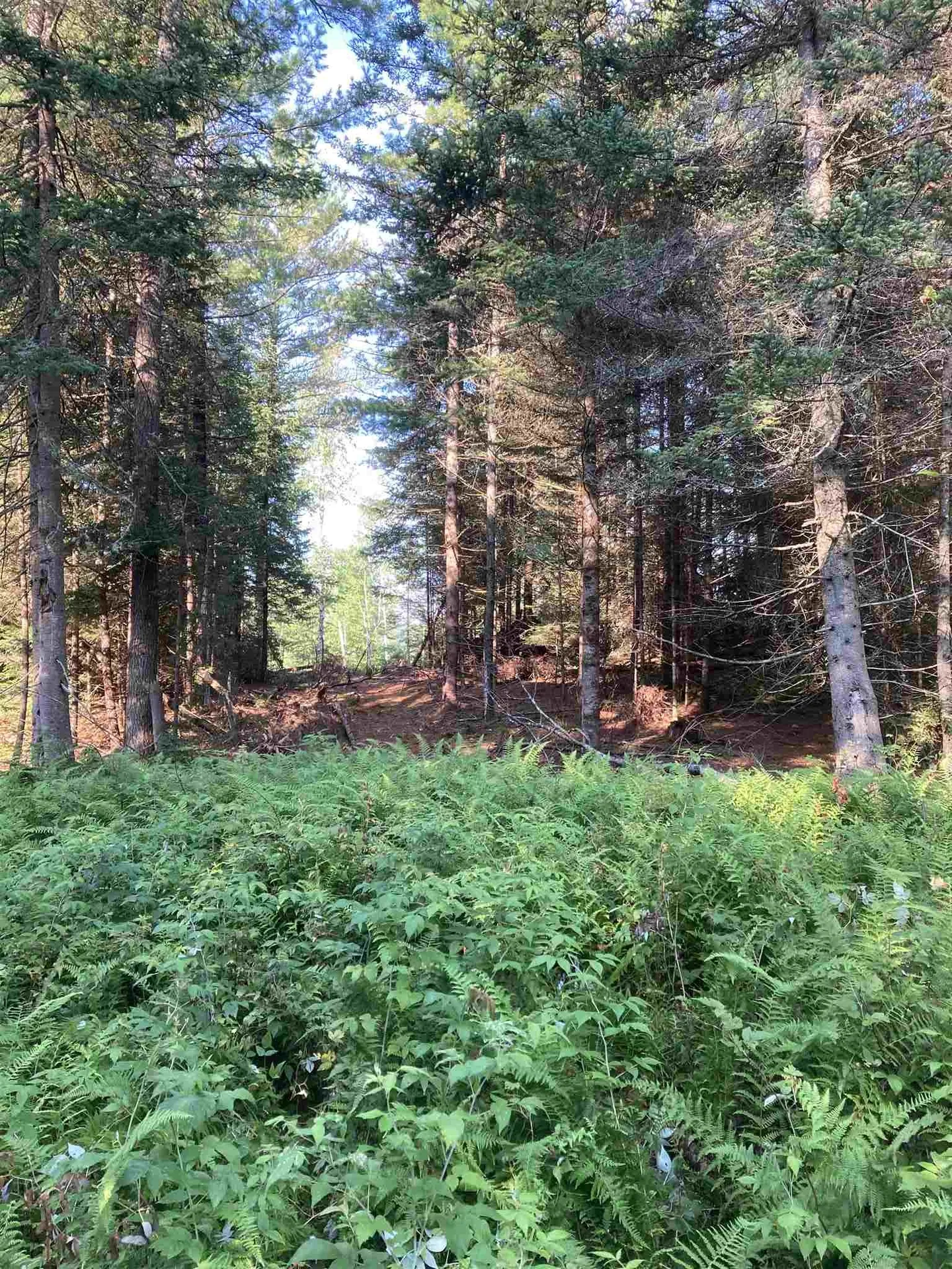 00 Sanderlin Drive Newbury VT 05051