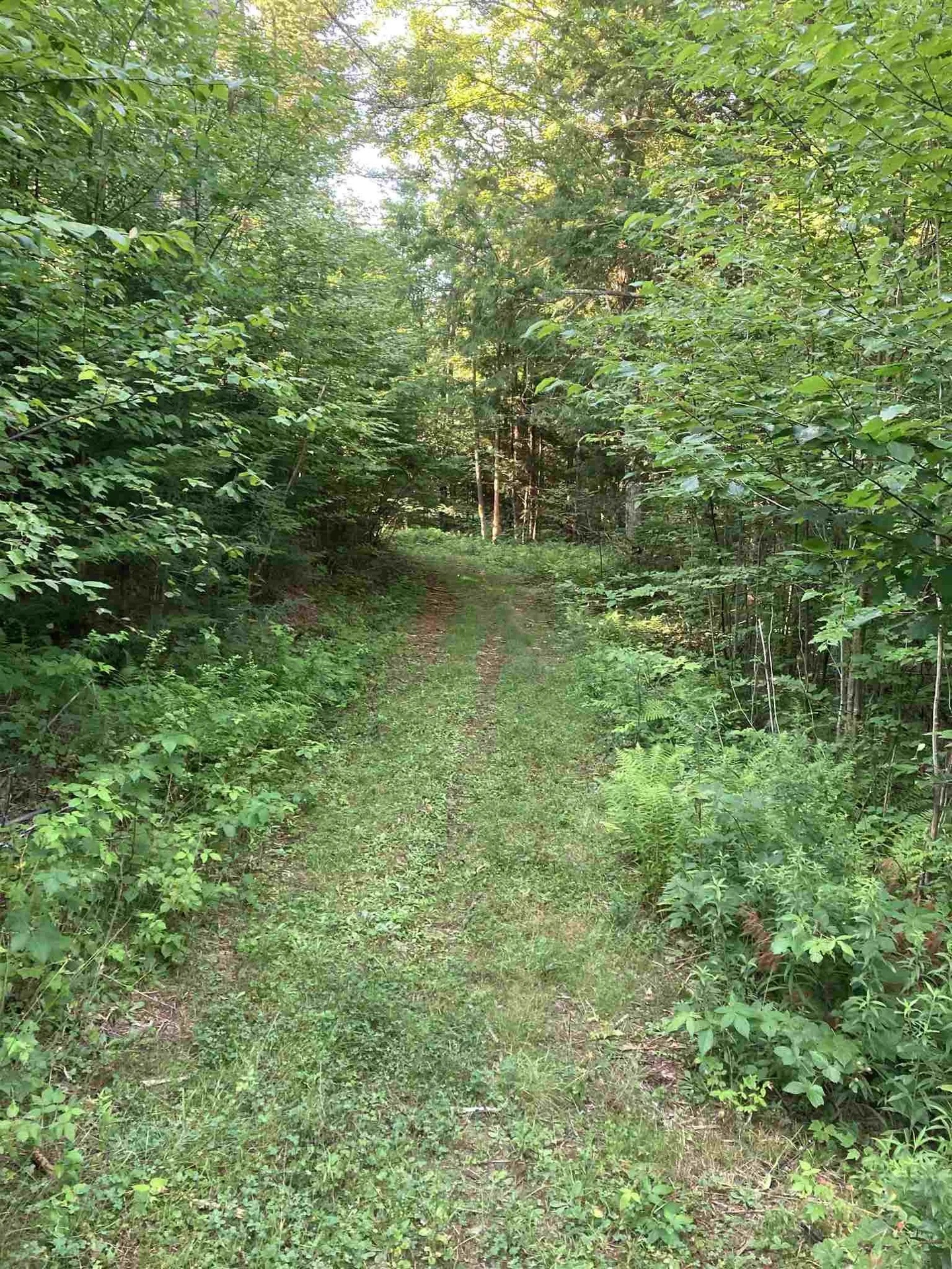 00 Sanderlin Drive Newbury VT 05051