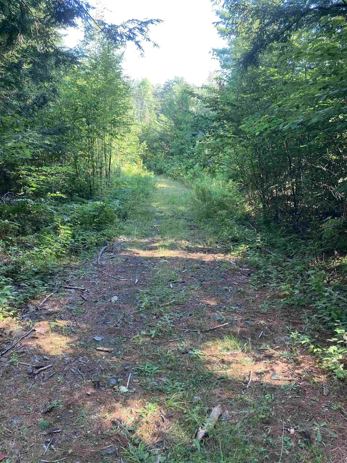 00 Sanderlin Drive Newbury VT 05051