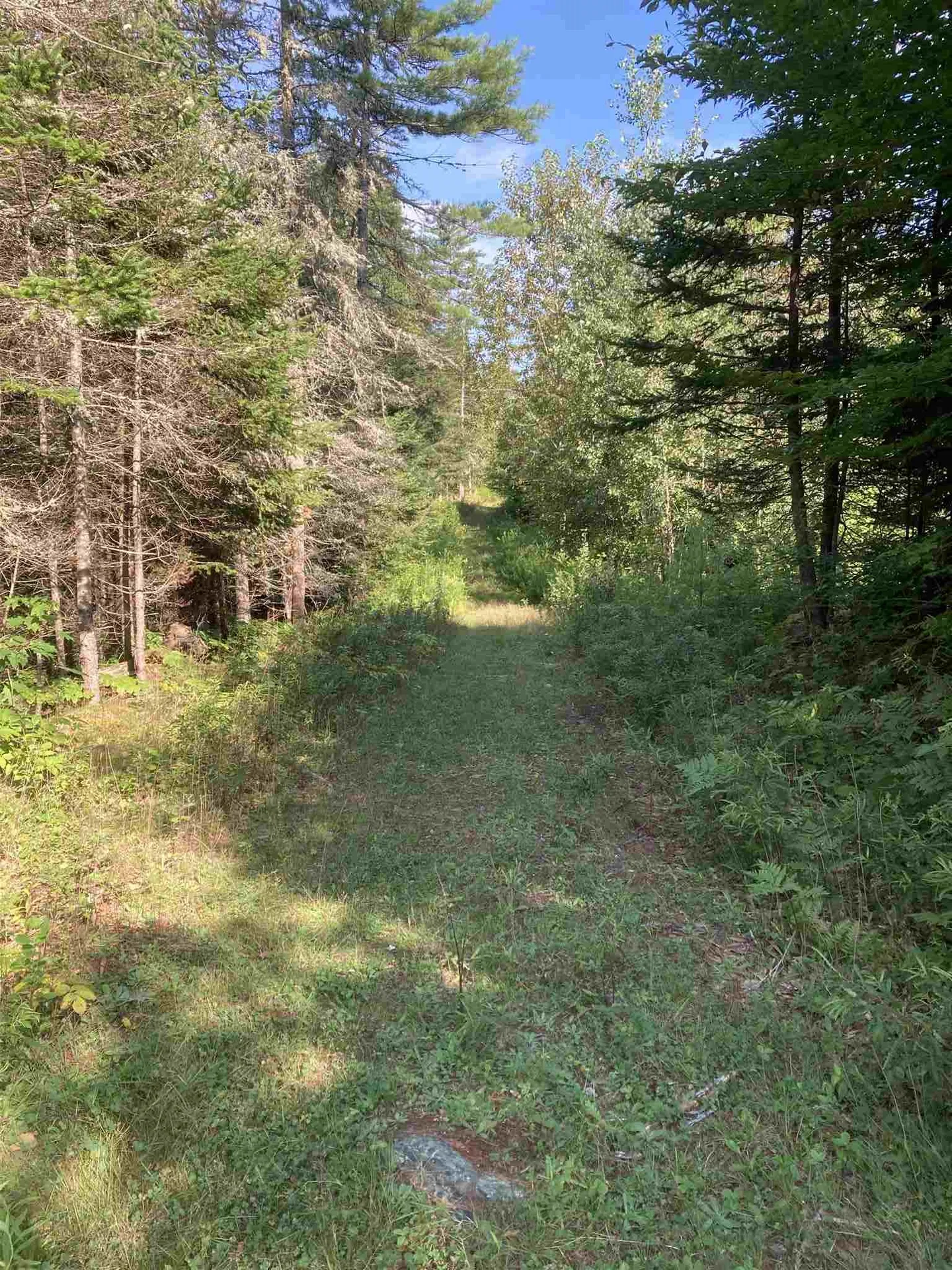 00 Sanderlin Drive Newbury VT 05051
