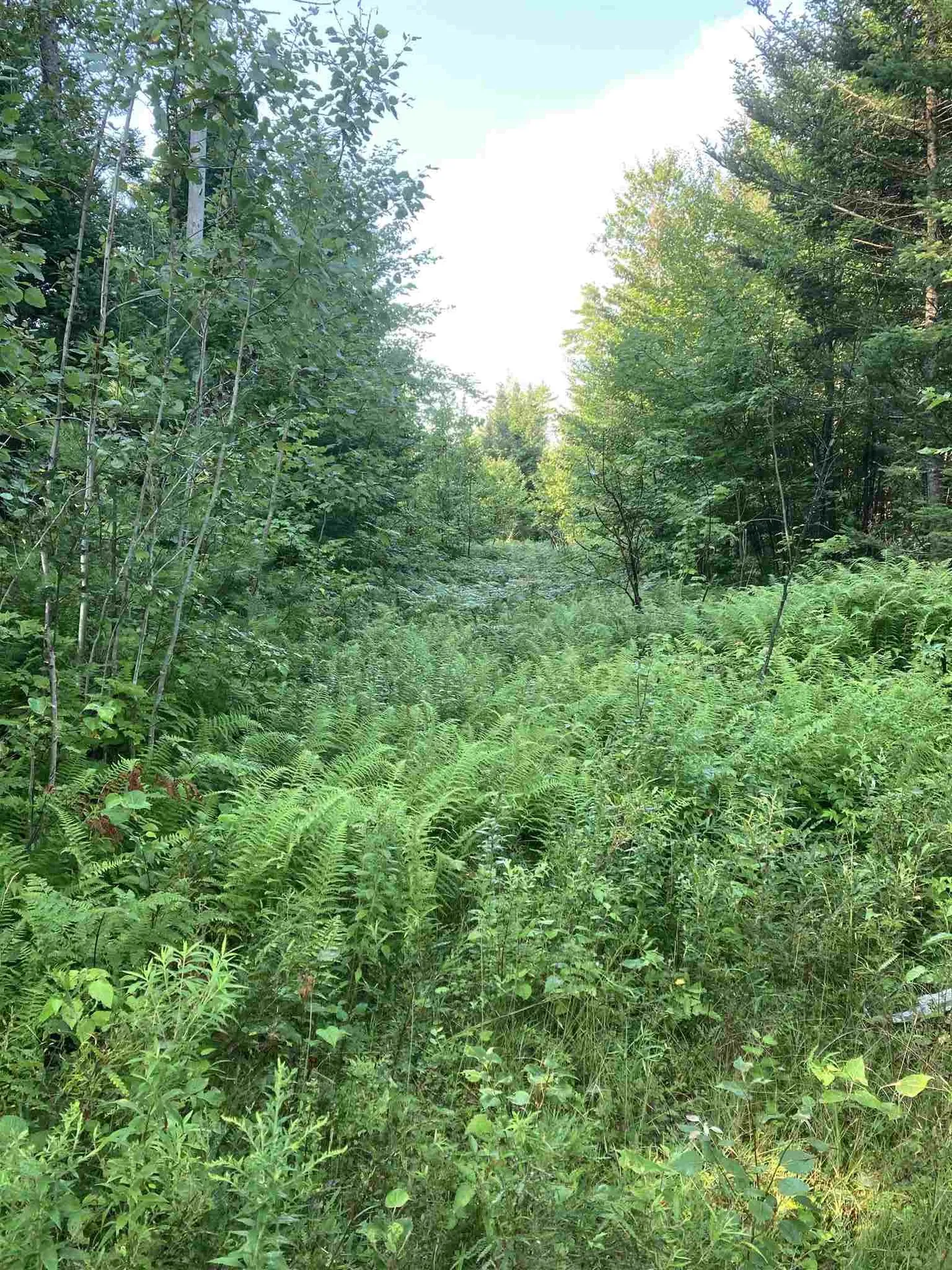 00 Sanderlin Drive Newbury VT 05051