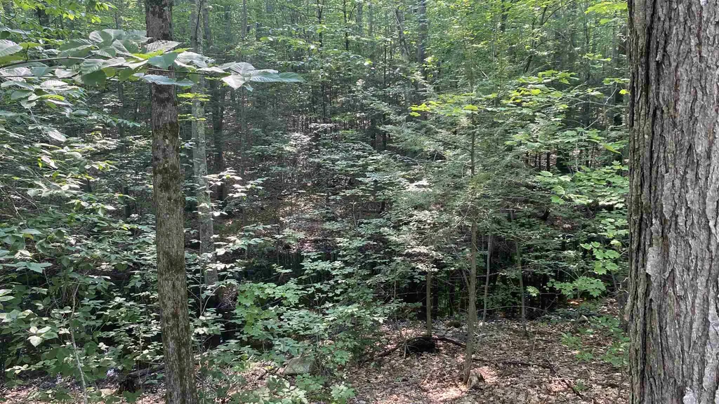 65 Corbett Road Barrington NH 03825