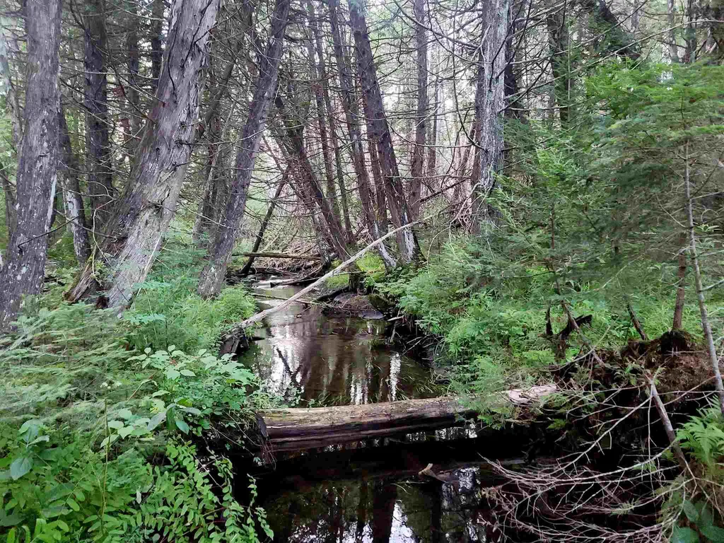 3651 Lynburke Road Sutton VT 05867
