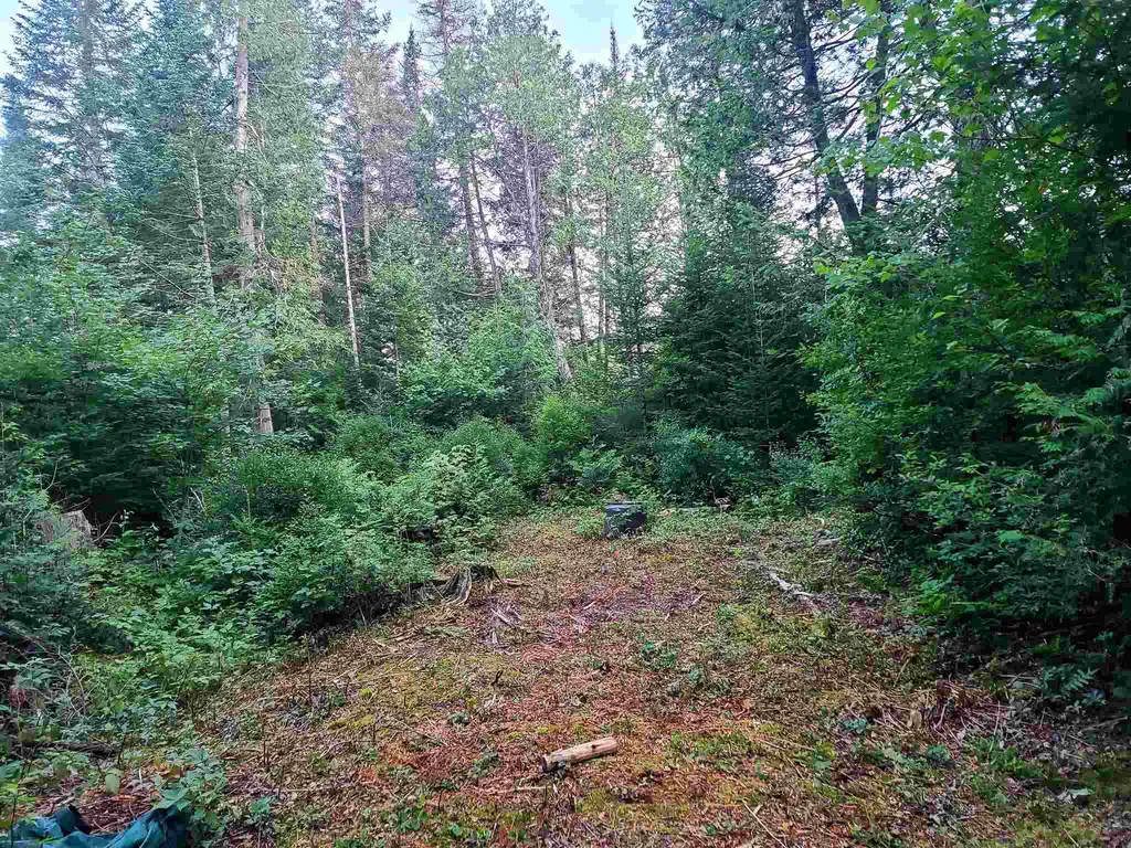 3651 Lynburke Road Sutton VT 05867