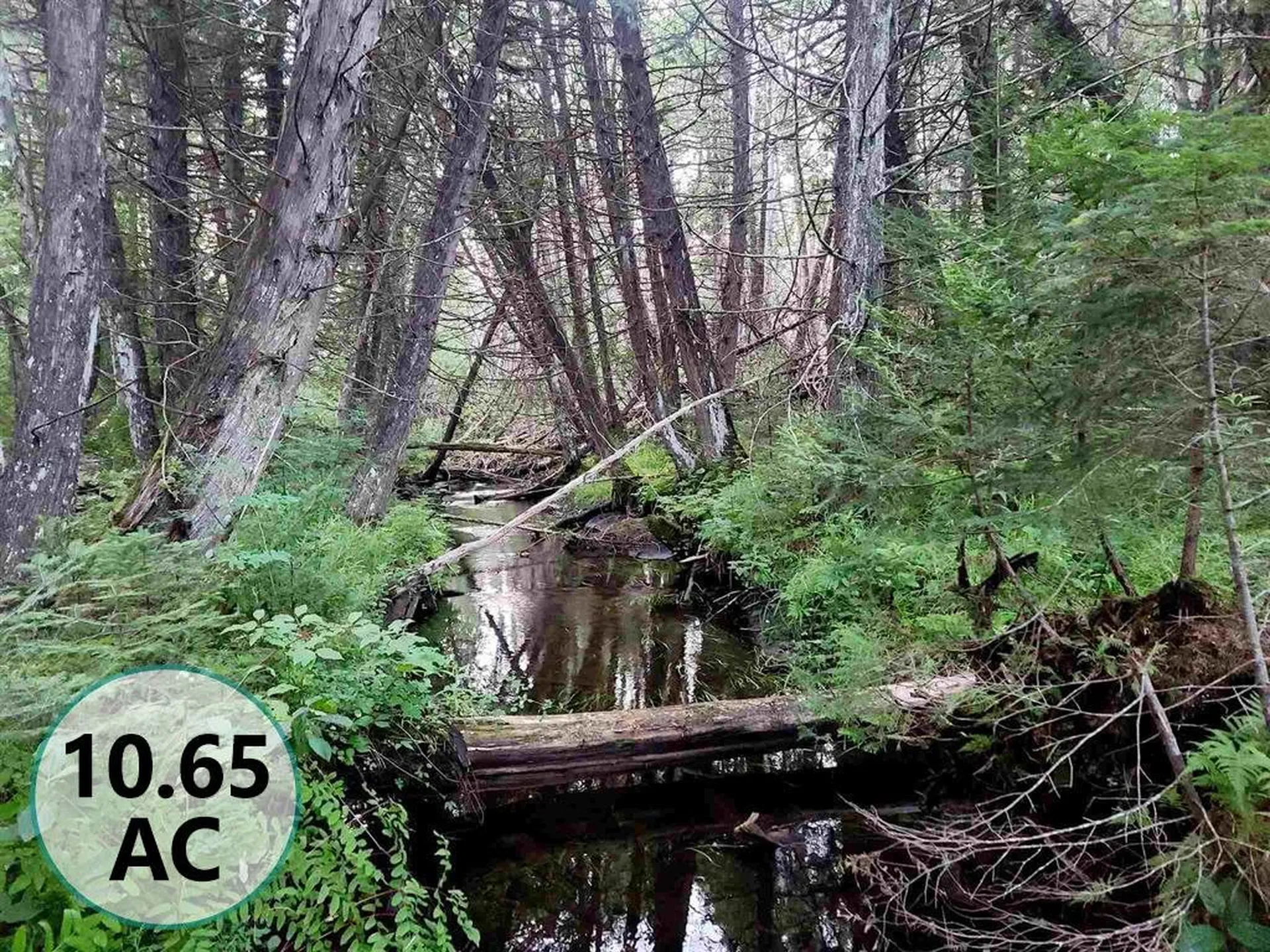 3651 Lynburke Road Sutton VT 05867