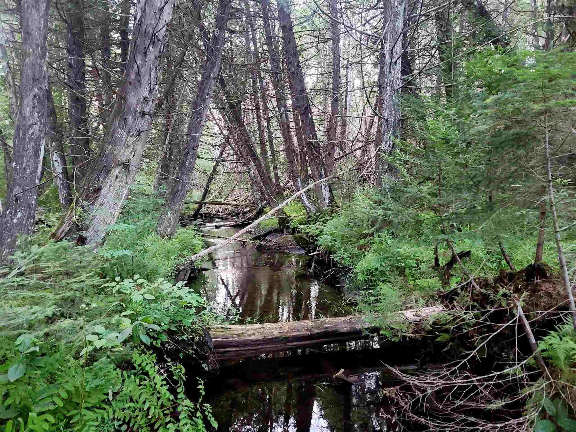 3651 Lynburke Road Sutton VT 05867