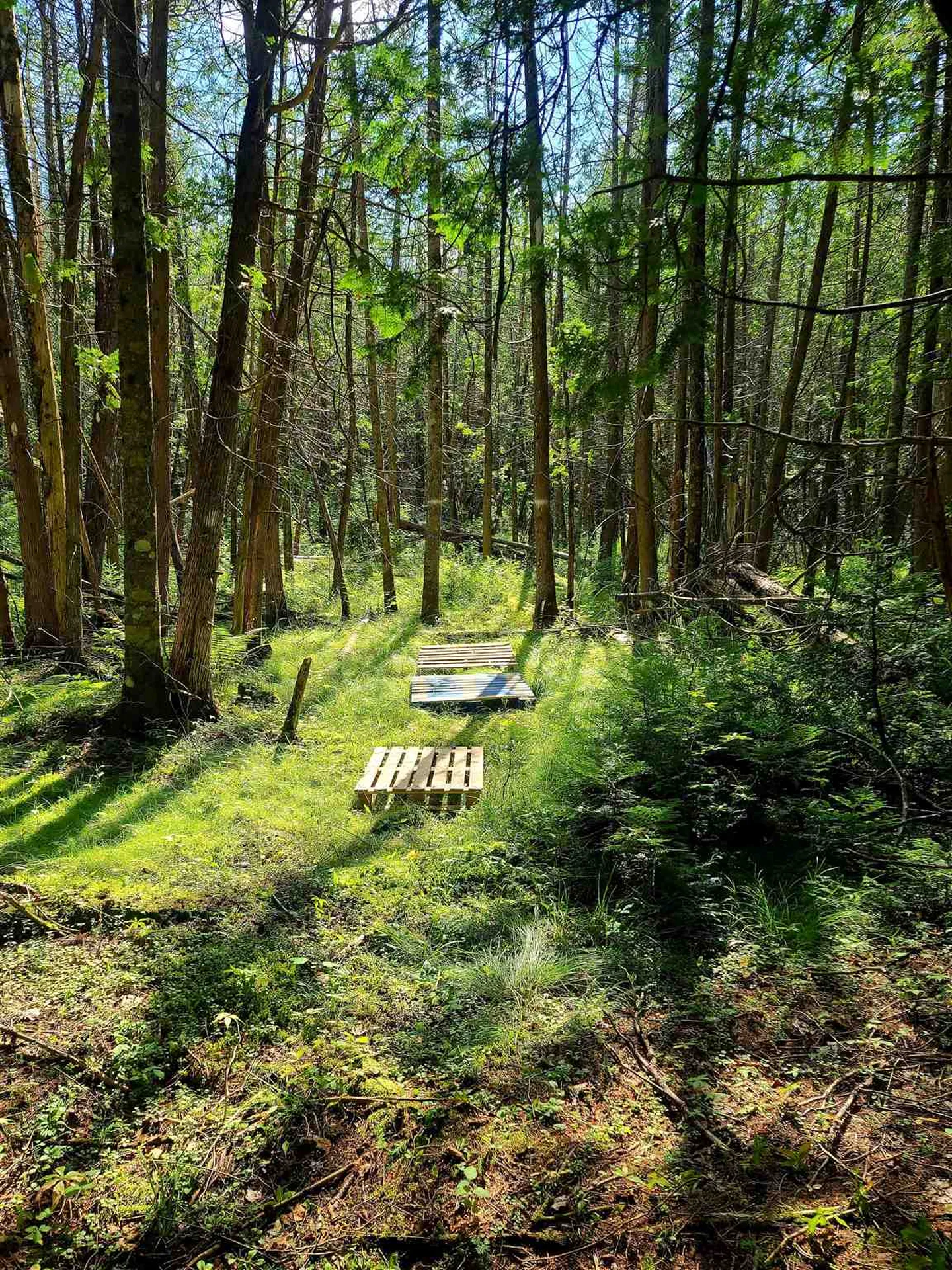 3651 Lynburke Road Sutton VT 05867