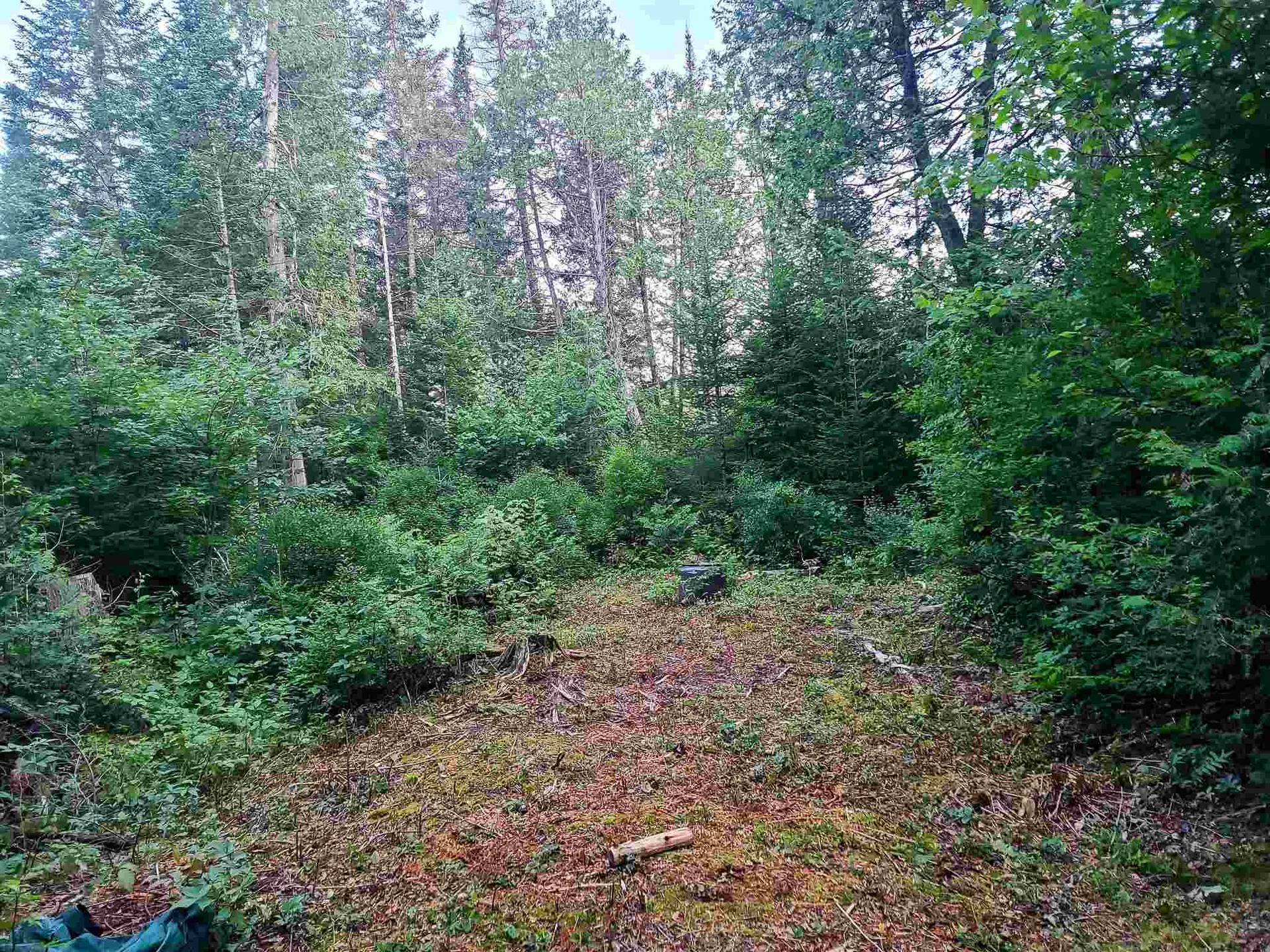 3651 Lynburke Road Sutton VT 05867