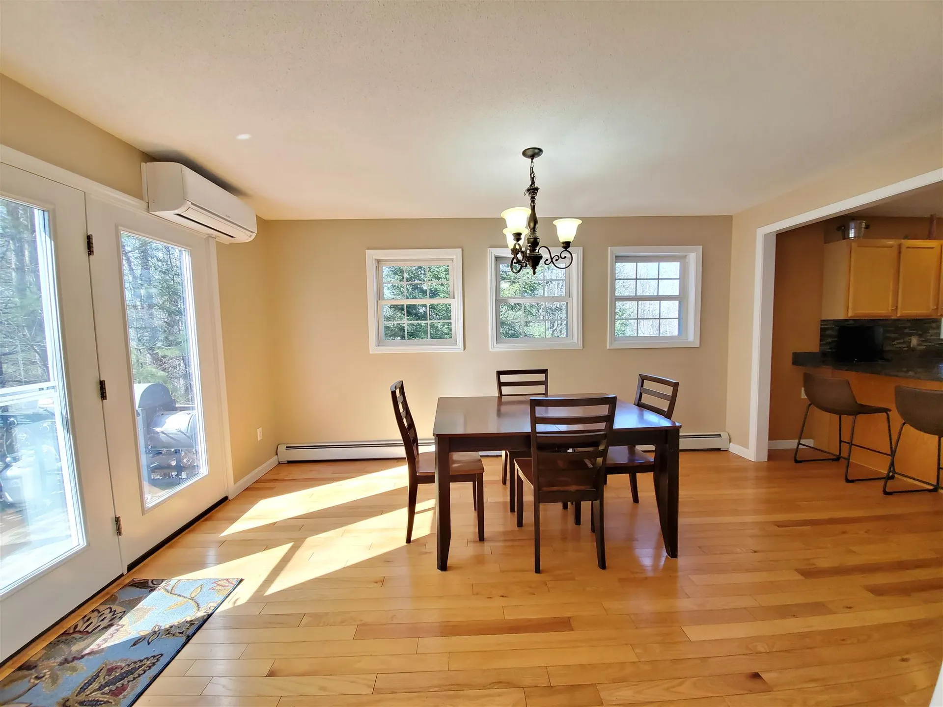 59 Fitzgerald Drive Enfield NH 03741