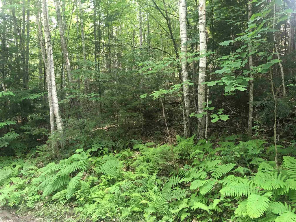 Dartmouth Drive Haverhill NH 03785