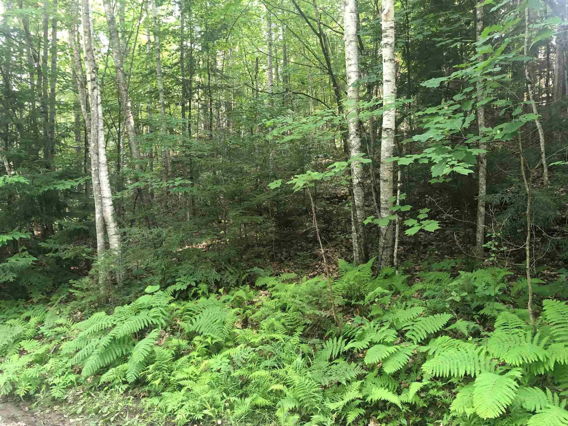 Dartmouth Drive Haverhill NH 03785
