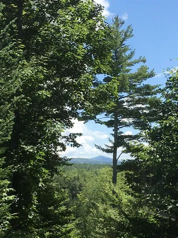 1030 West County Road Calais VT 05648