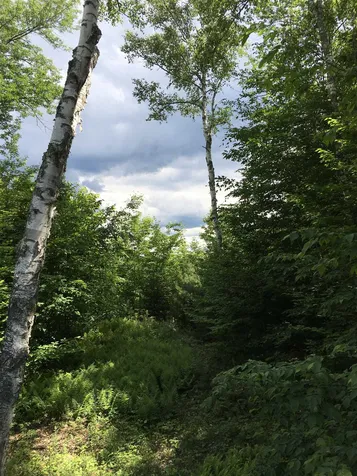 1030 West County Road Calais VT 05648