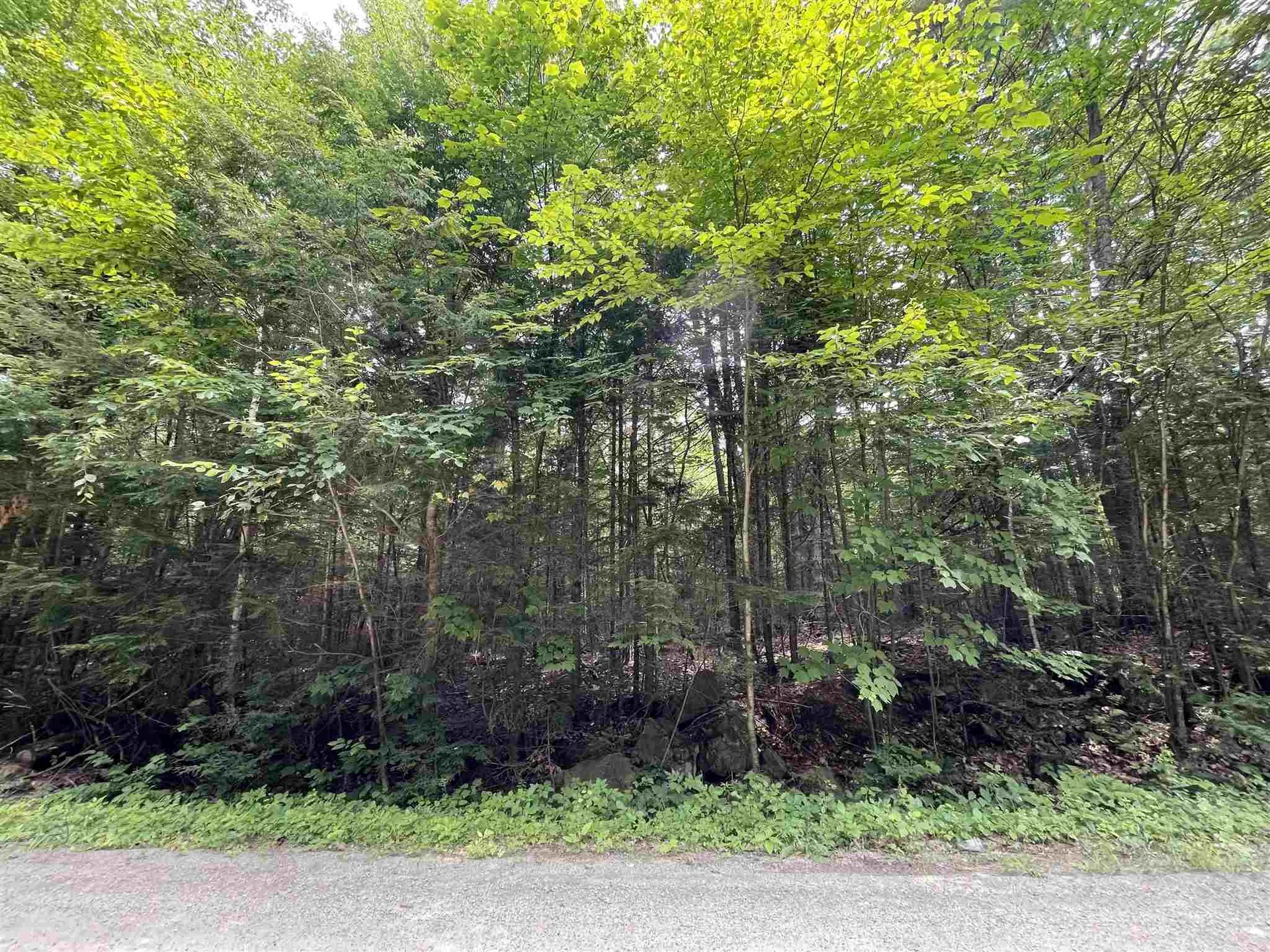 00 Wildcat Drive Haverhill NH 03785