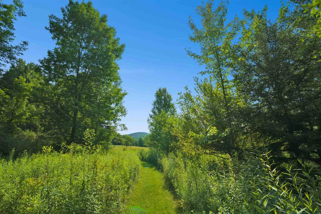 491 Perry Lea Road Waterbury VT 05676