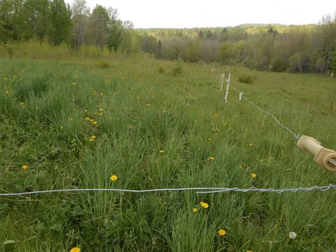 3694 Carter Road Lowell VT 05847