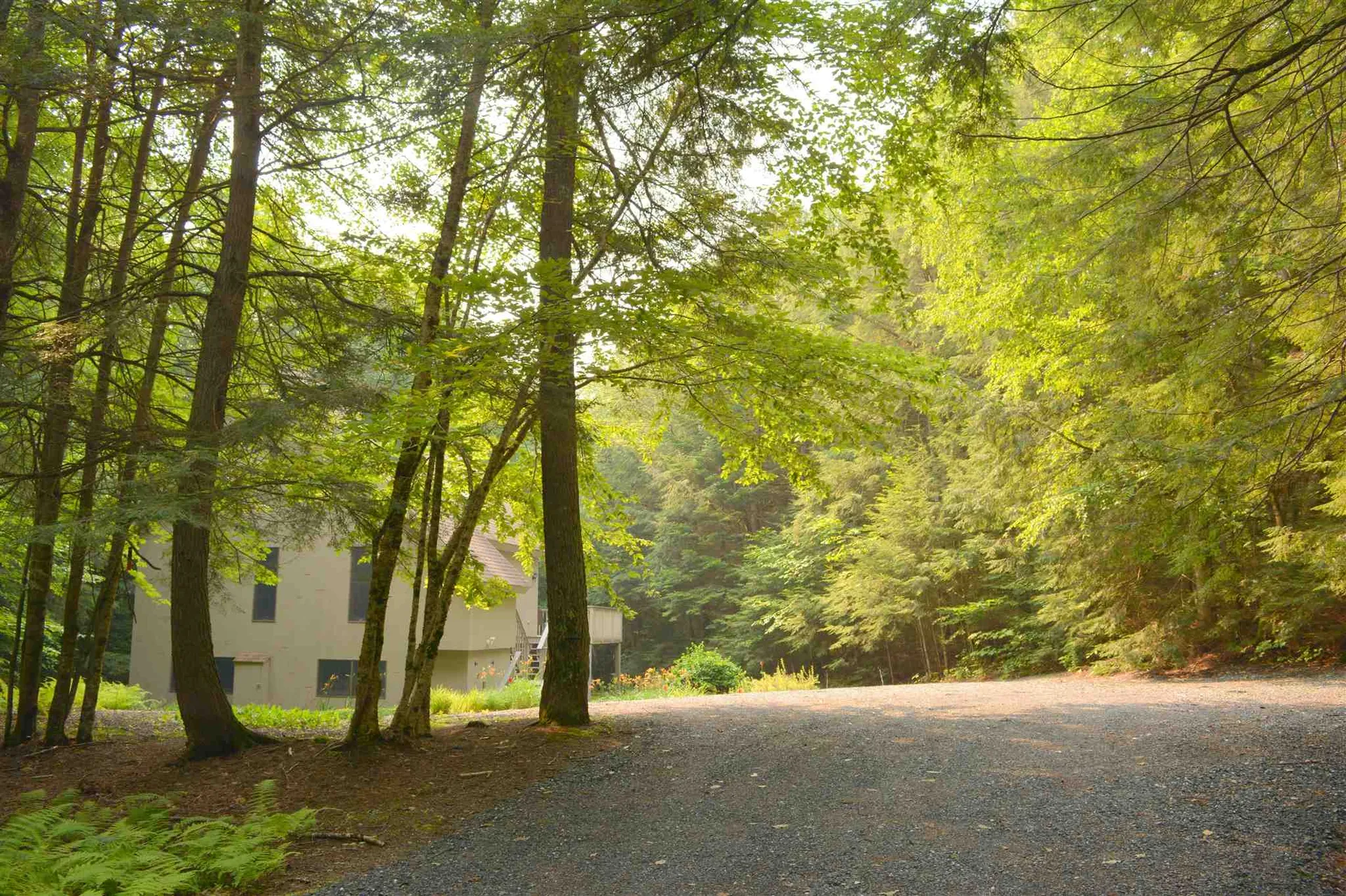20 Whitetail Ridge Grantham NH 03753