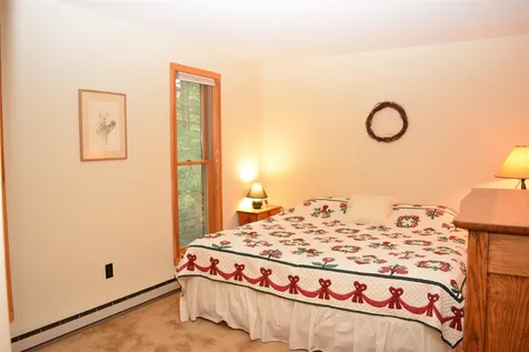 20 Whitetail Ridge Grantham NH 03753