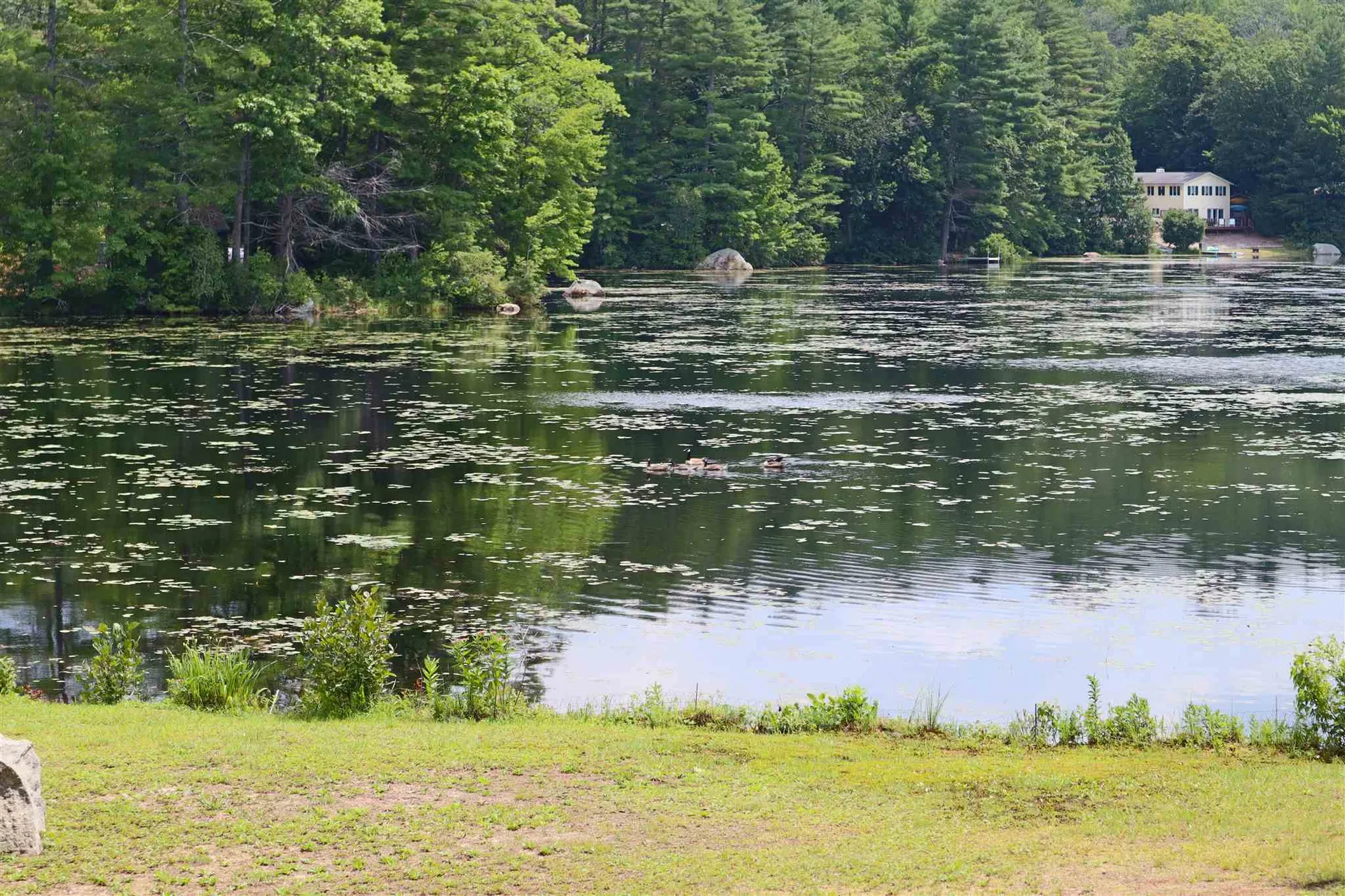 522 Deer Meadow Road Webster NH 03303
