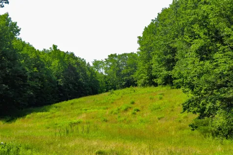 00 Commonwealth Avenue Ludlow VT 05149