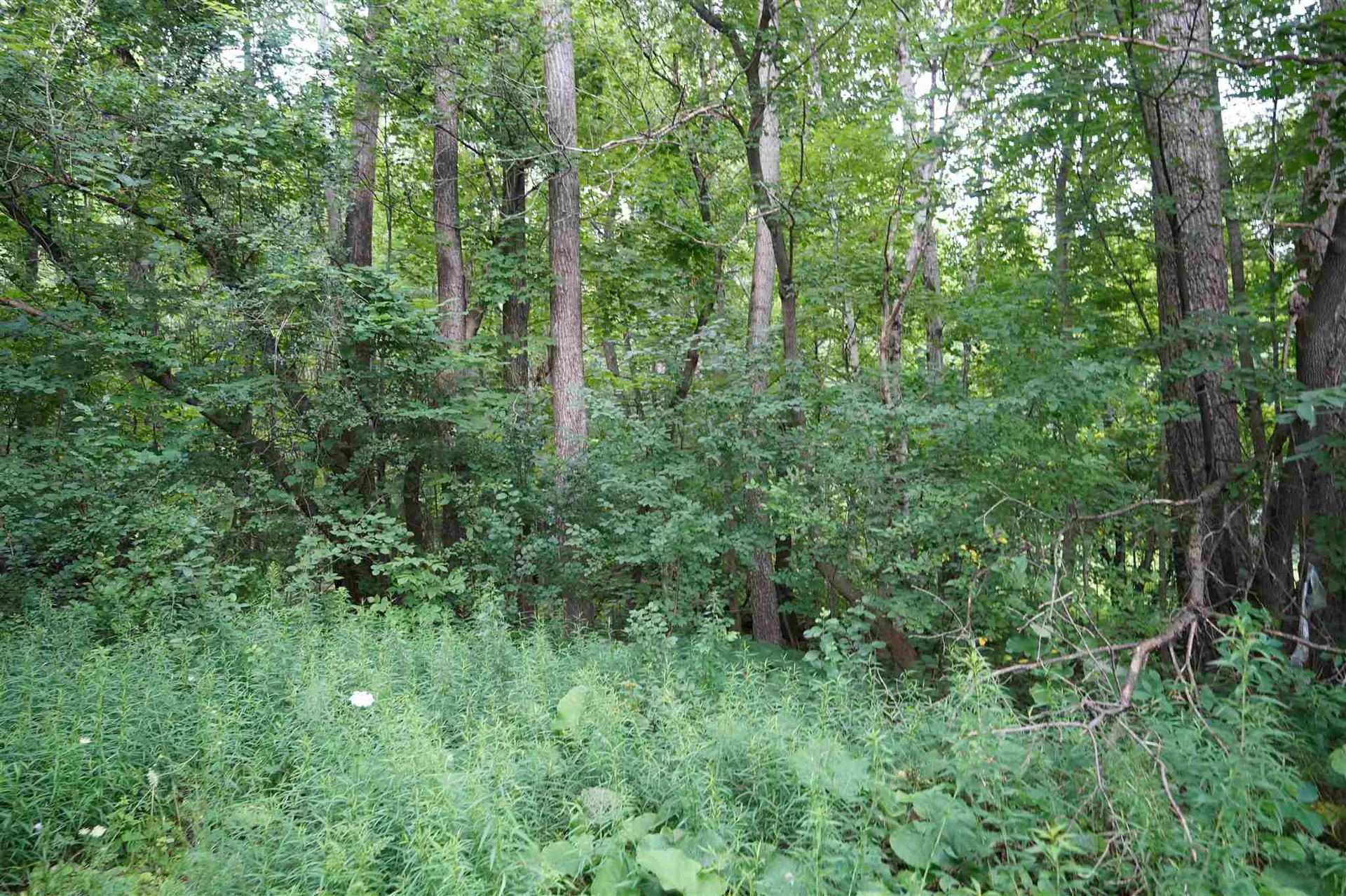 000-b Bromur Street Barre City VT 05641