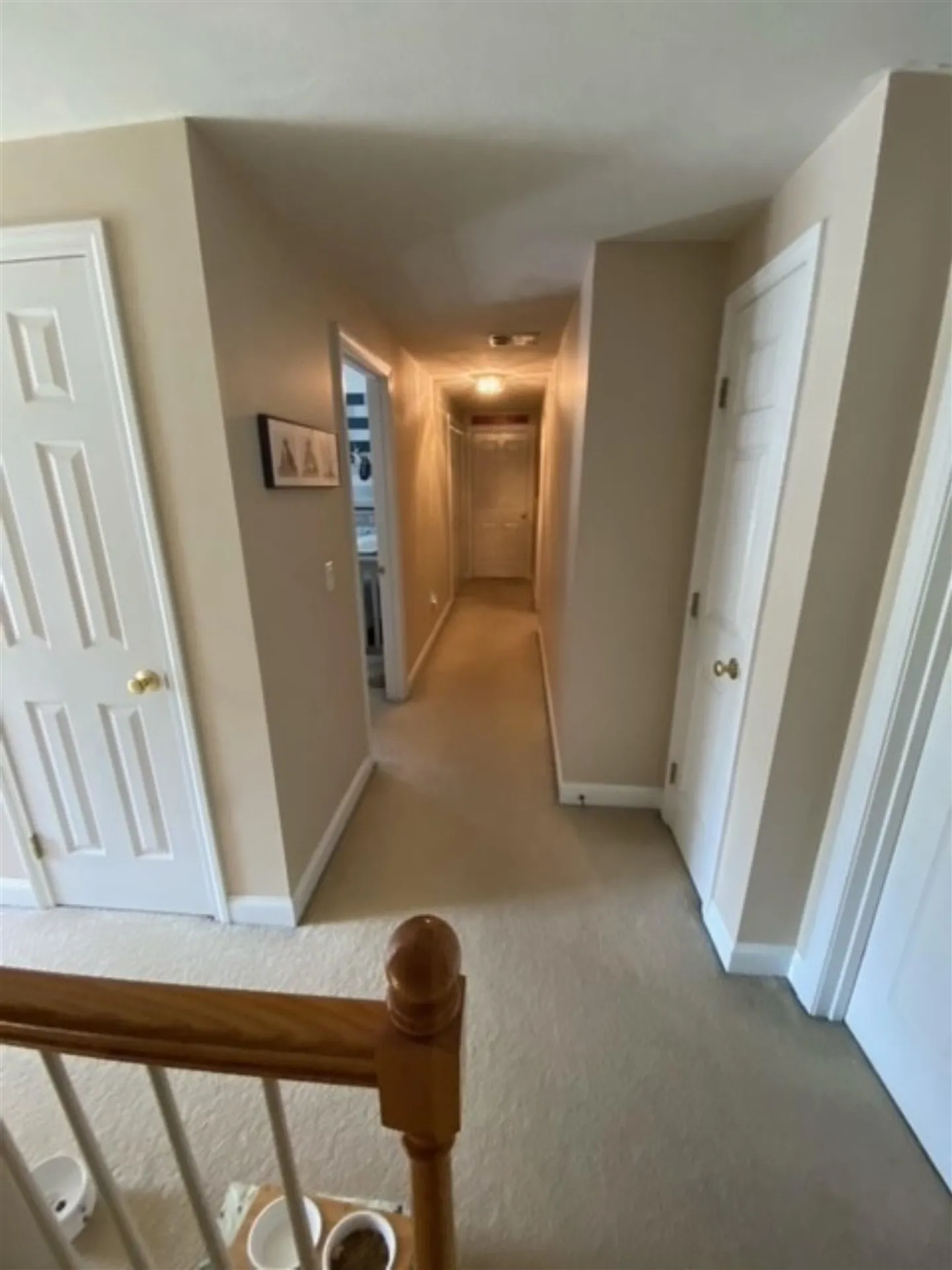 34 Ladyslipper Drive Newmarket NH 03857