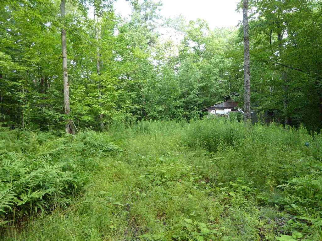 1314 Economou Road Huntington VT 05462