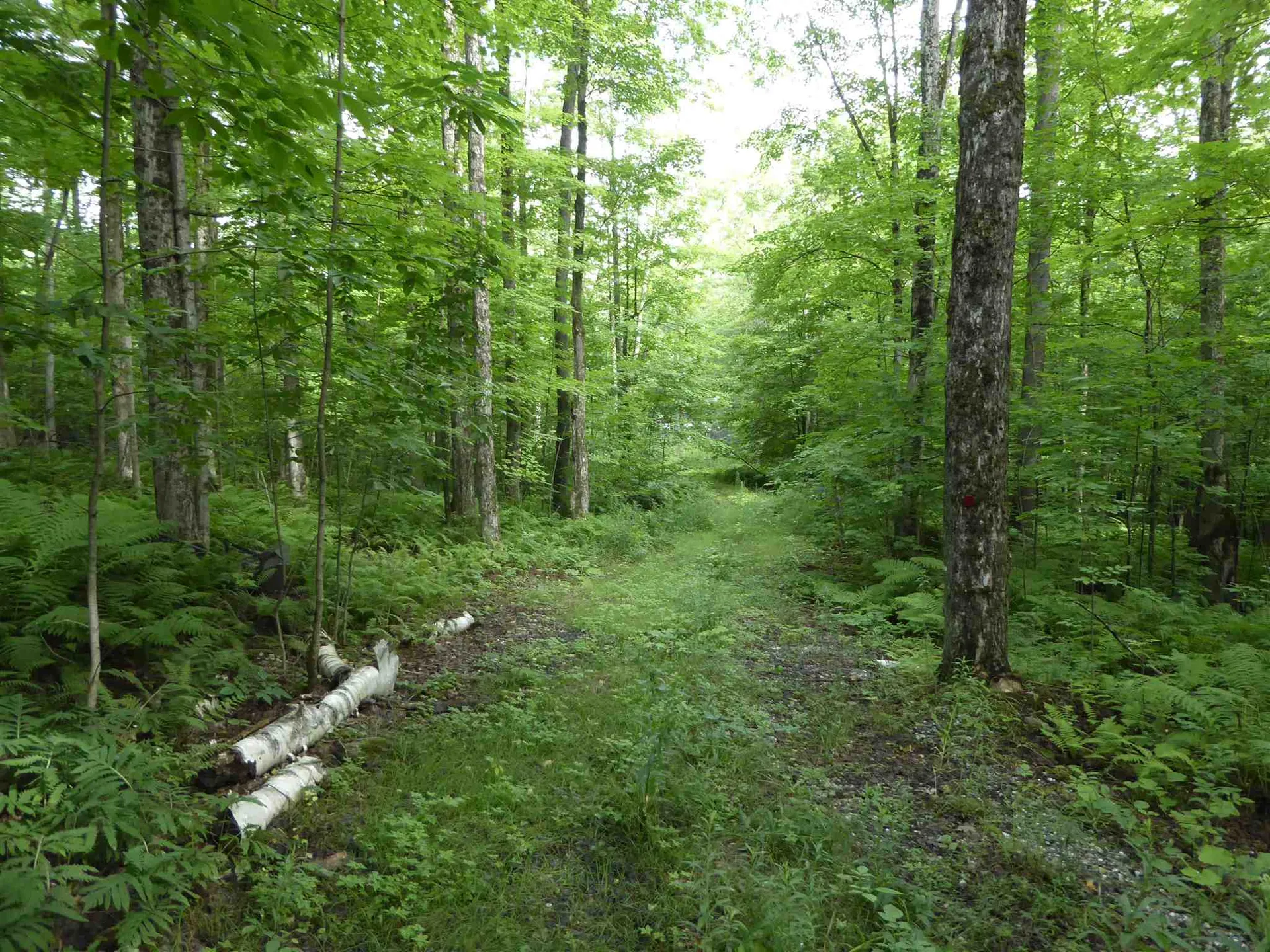 1314 Economou Road Huntington VT 05462